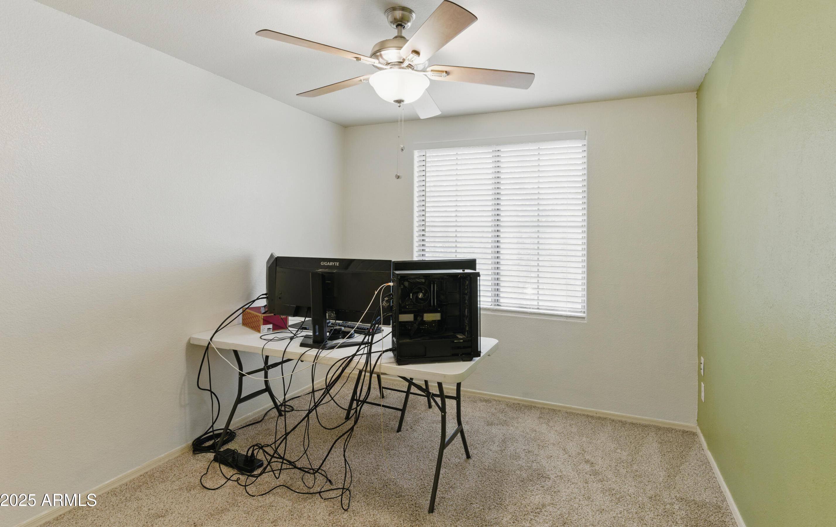 Photo #15