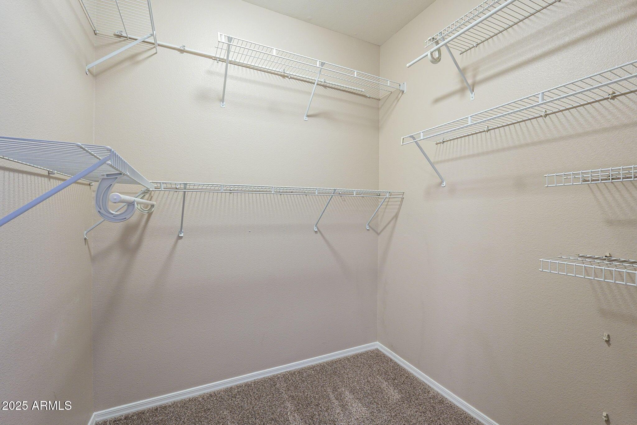 Photo #19