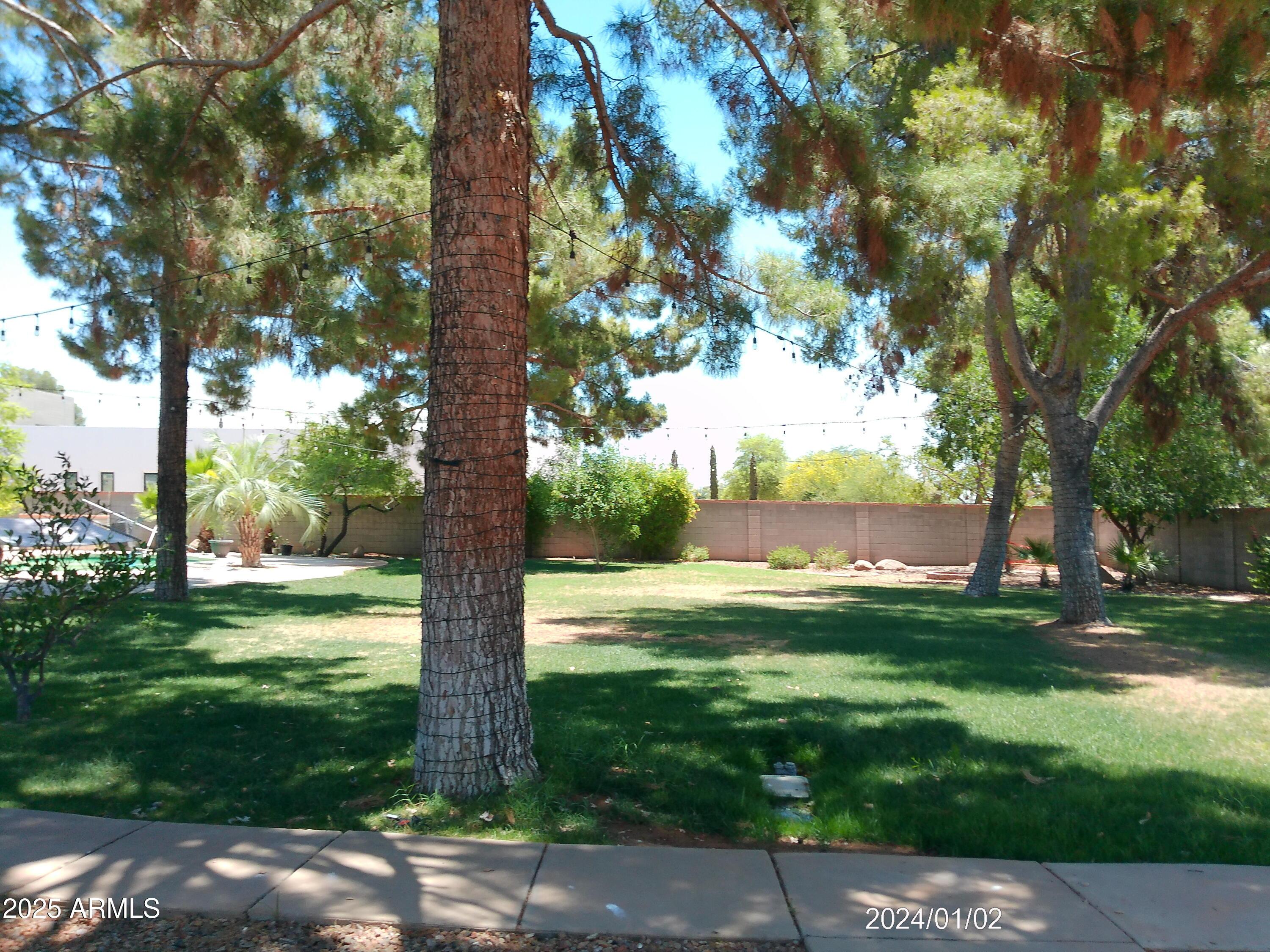 Photo #16