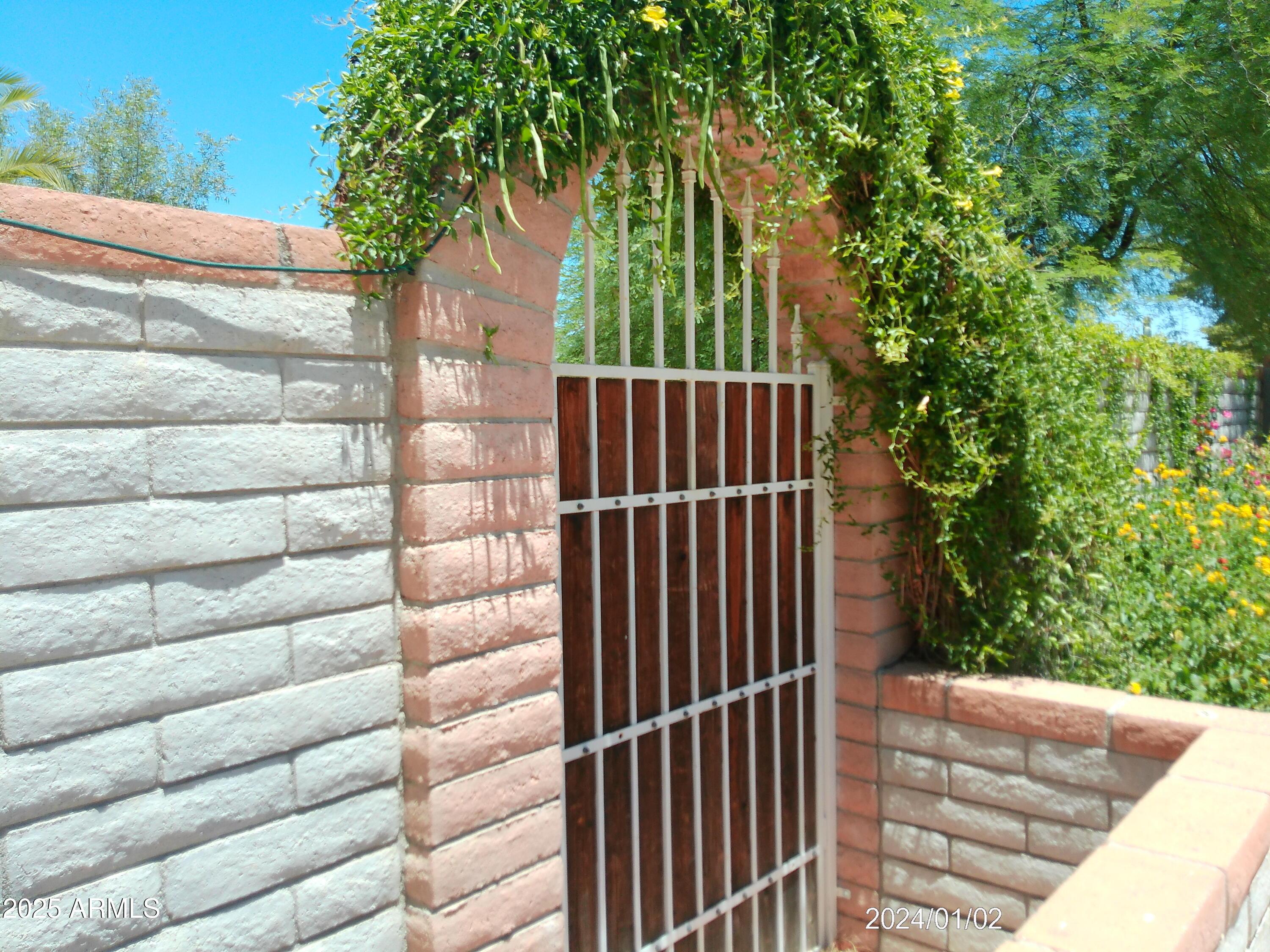 Photo #10