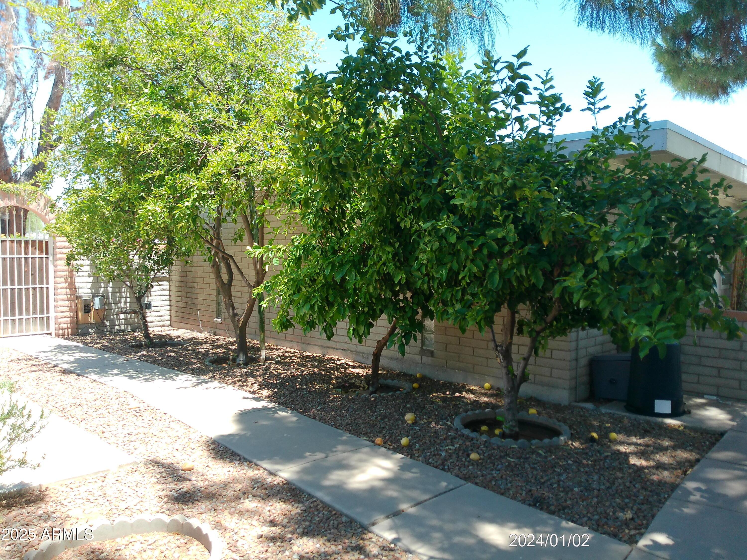 Photo #19