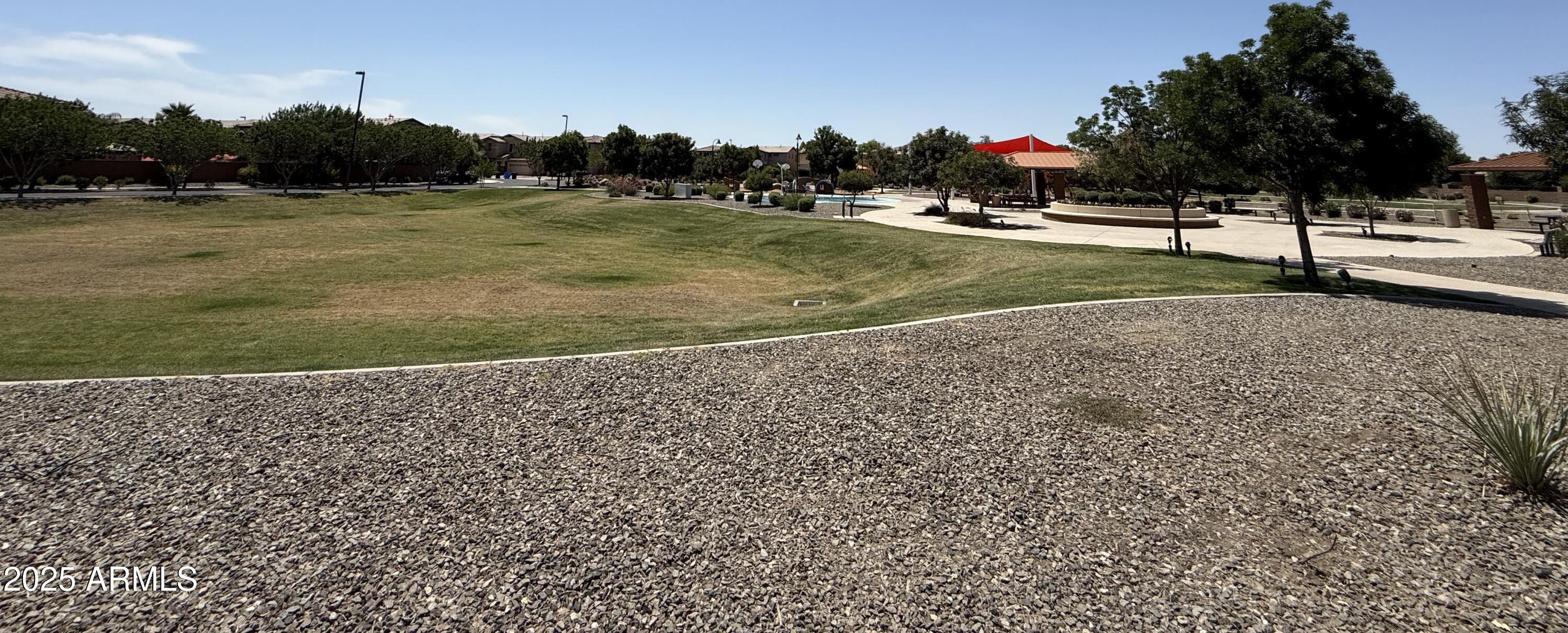 Photo #42