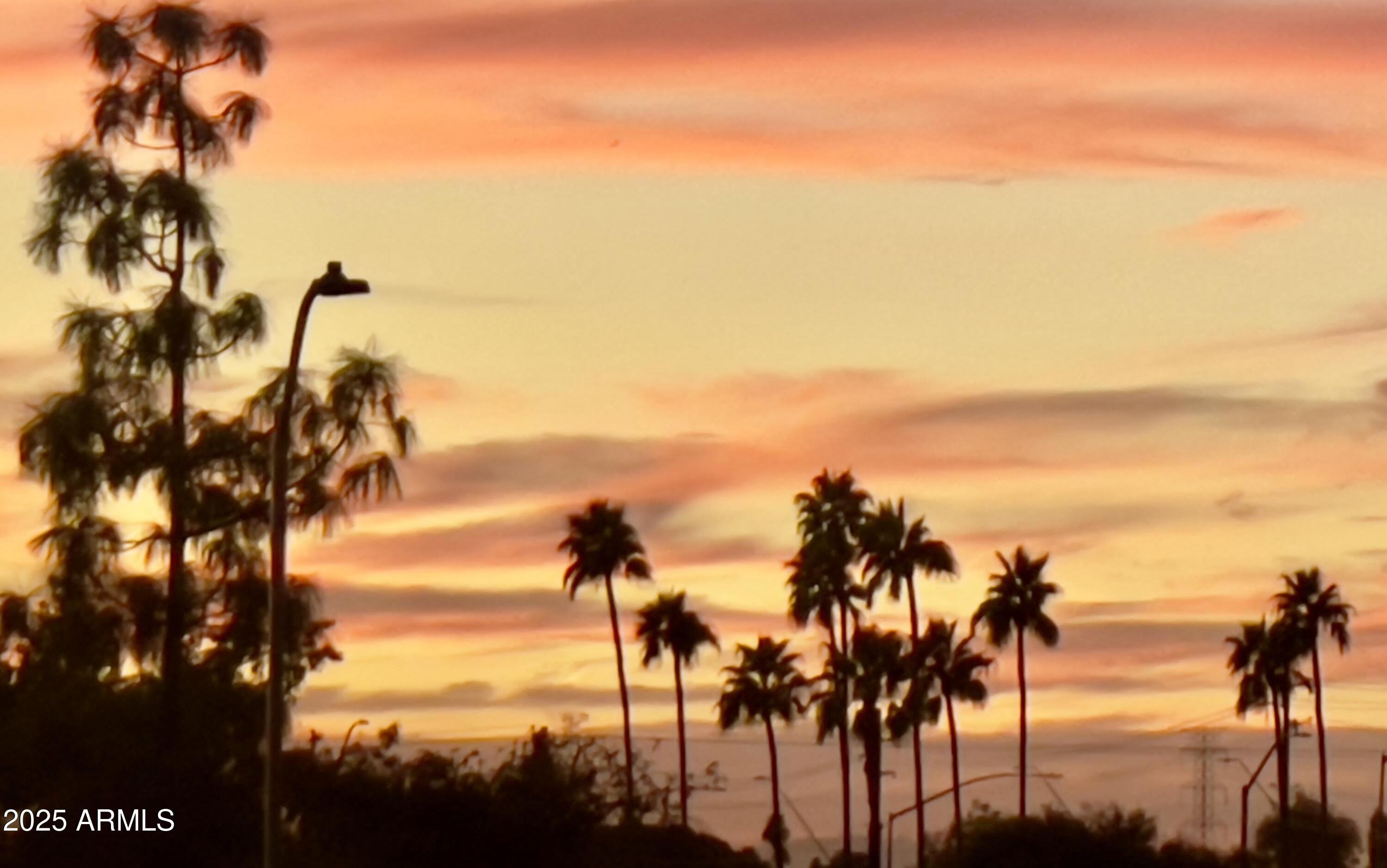 Photo #12
