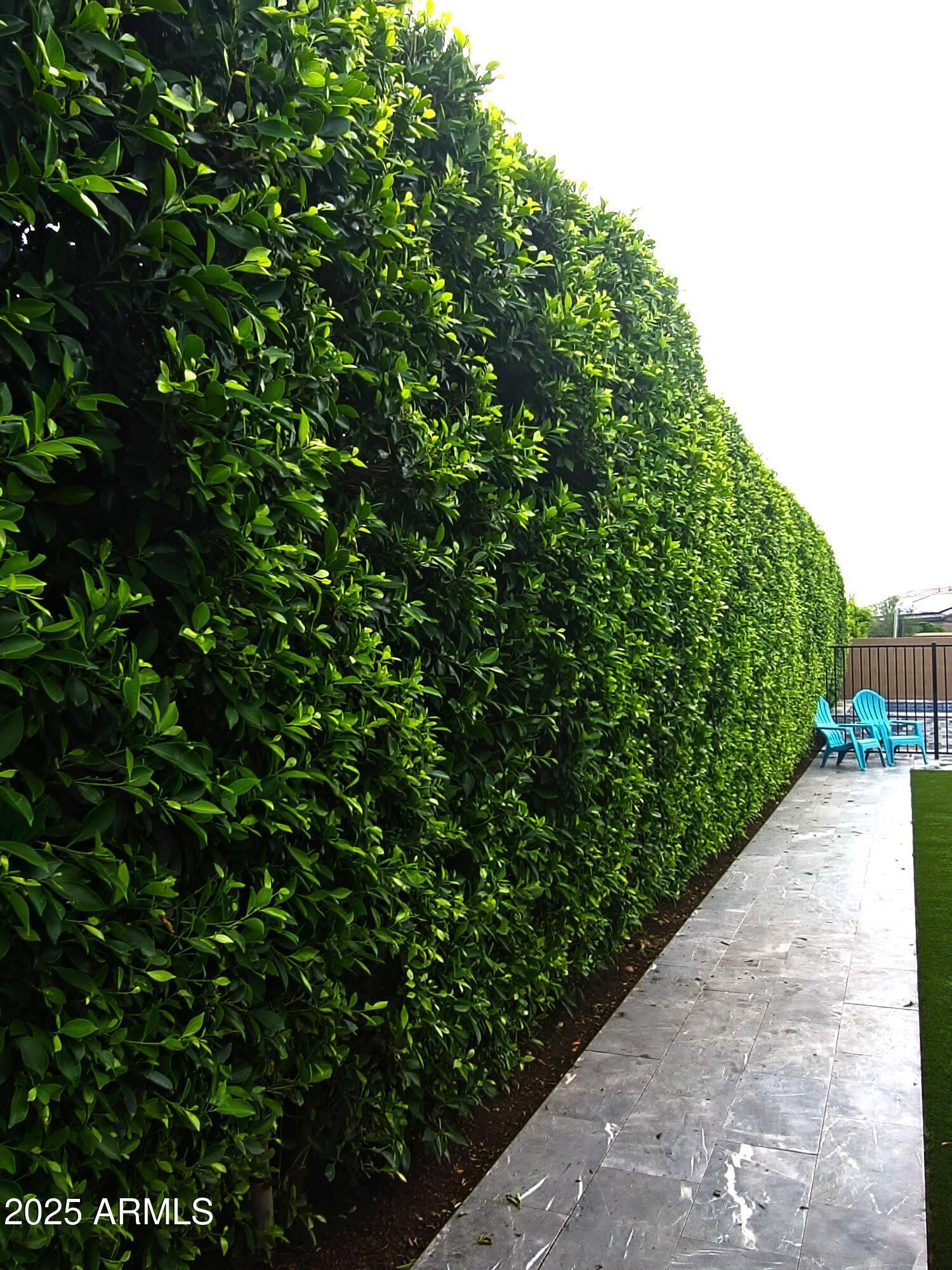 Photo #42