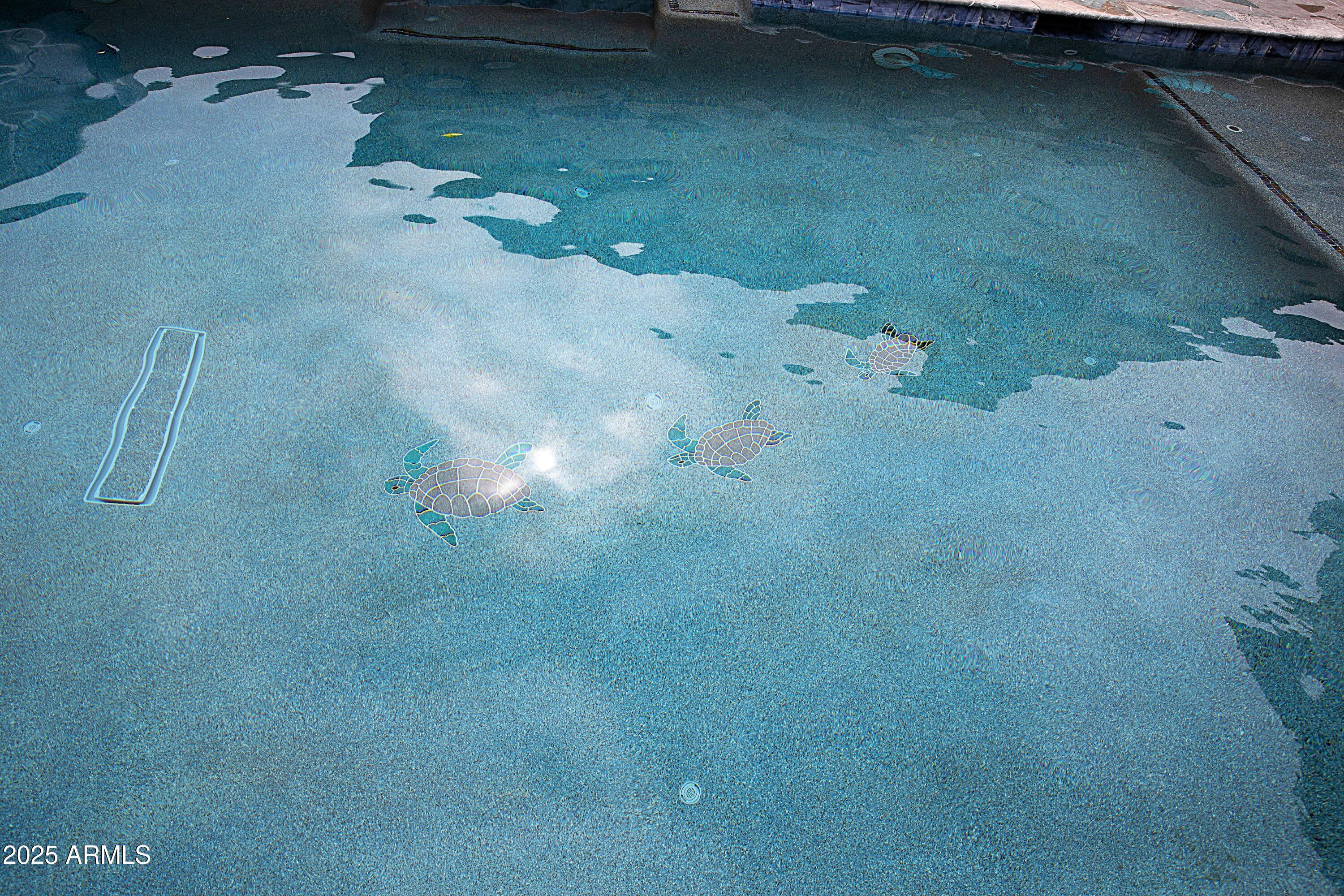 Photo #48