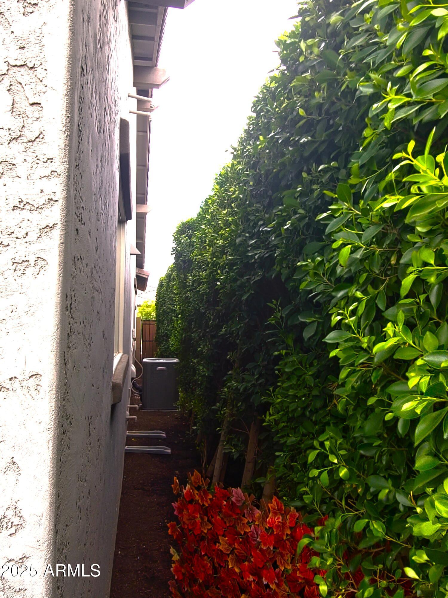 Photo #41