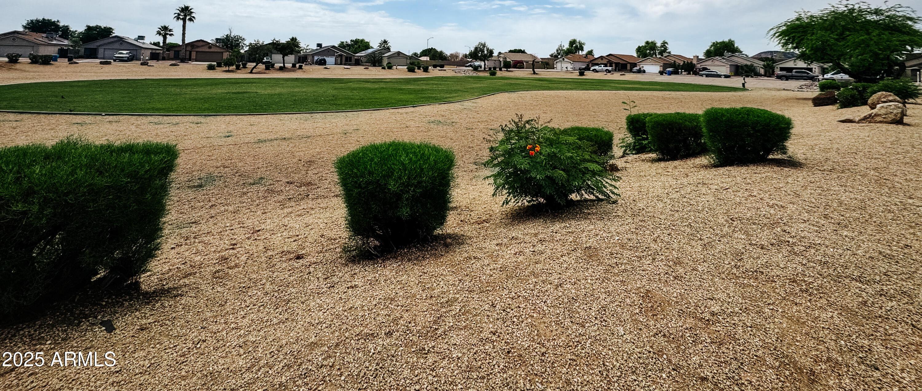 Photo #46