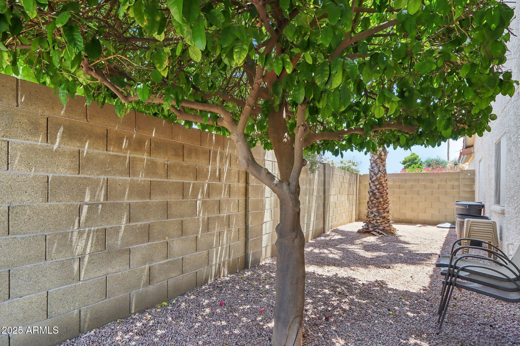 Photo #24