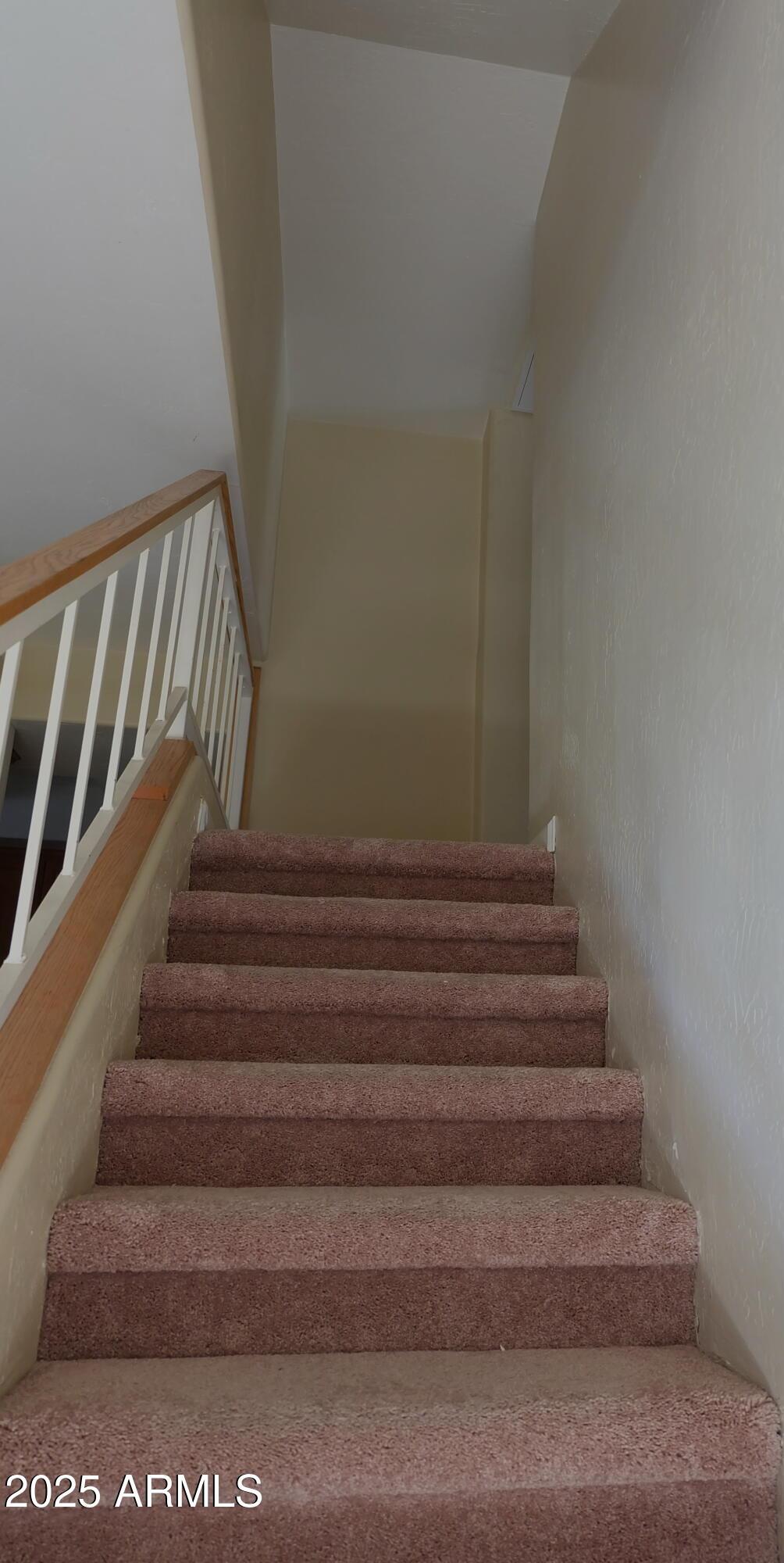 Photo #13
