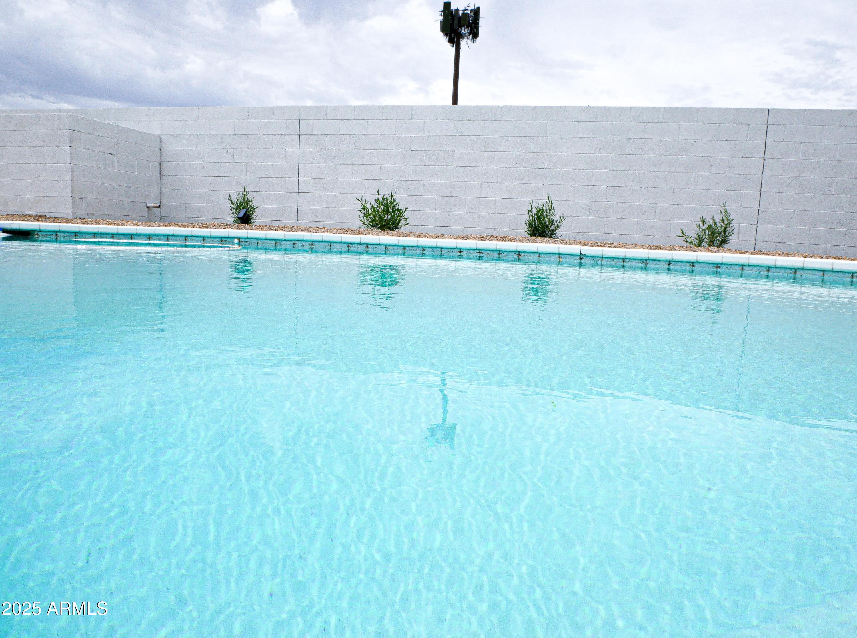 Photo #71