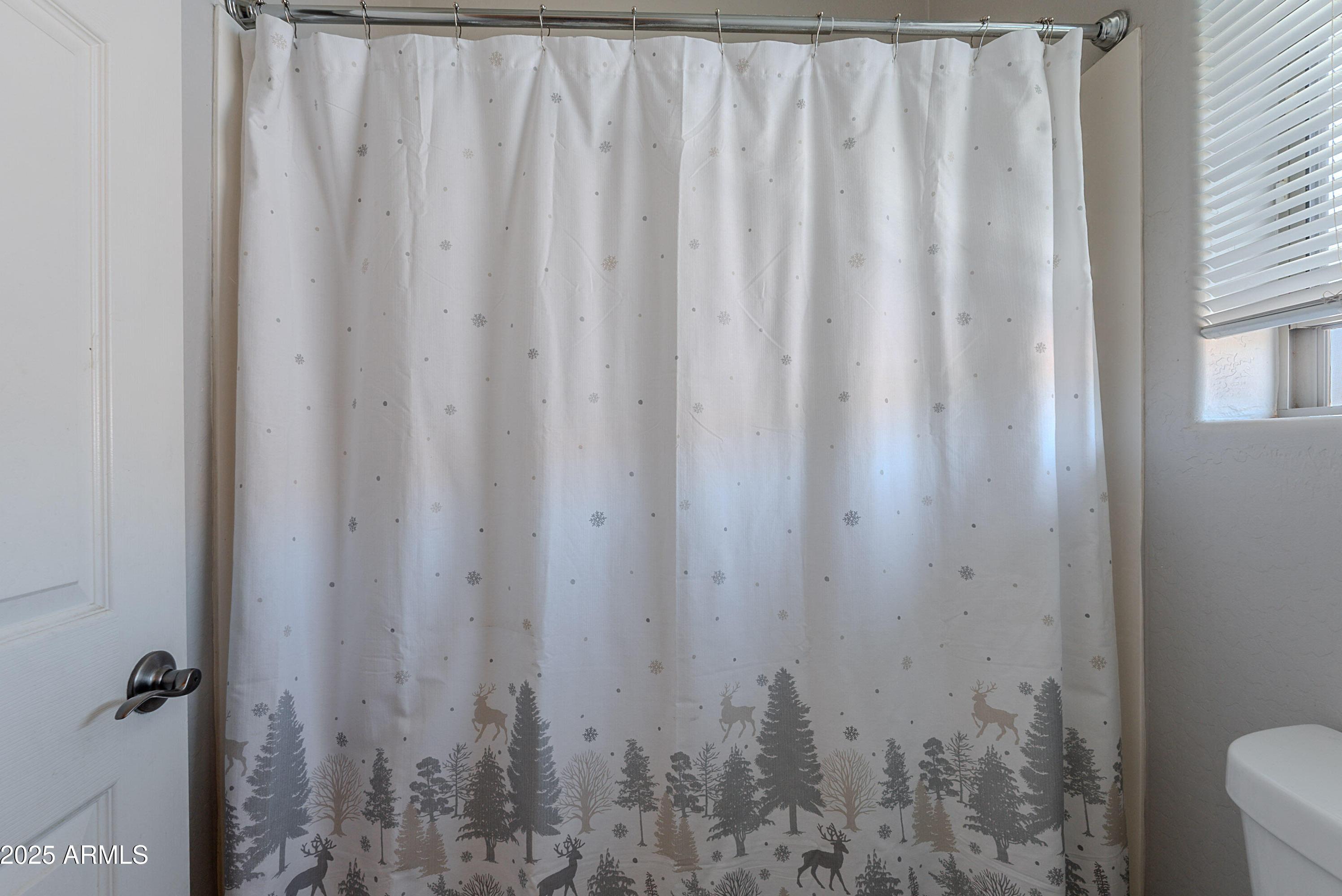 Photo #52