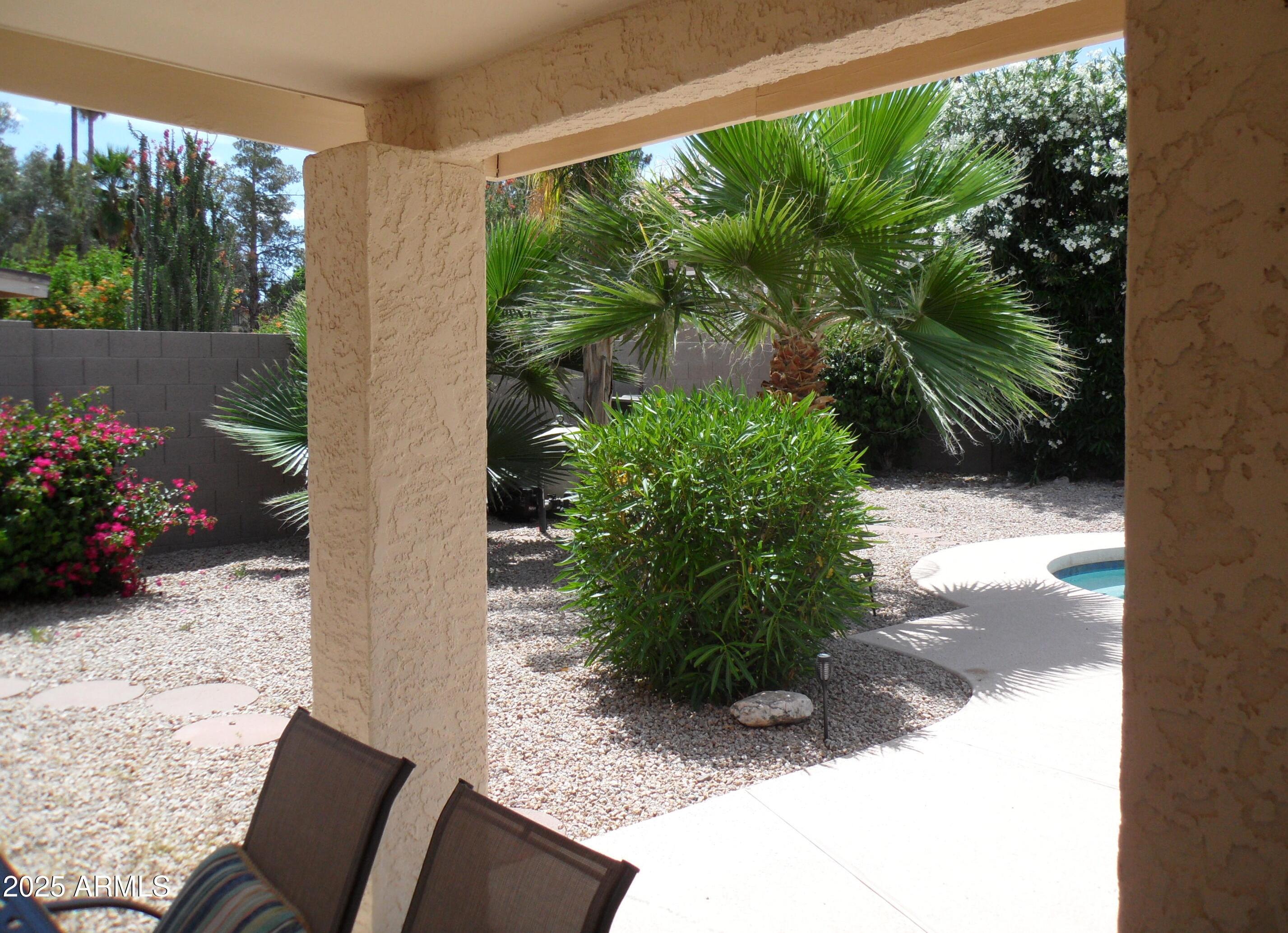 Photo #62