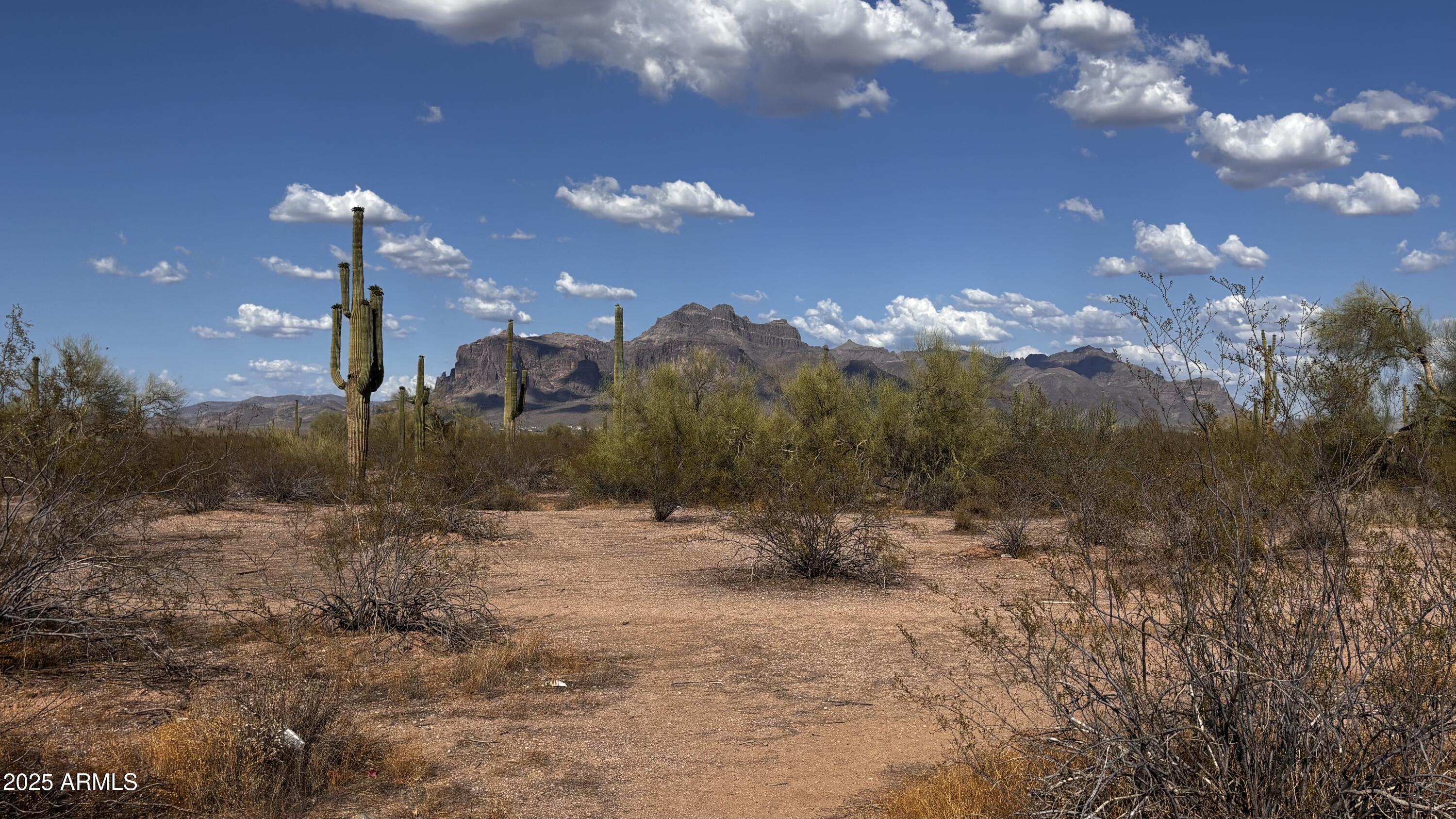 Photo #25
