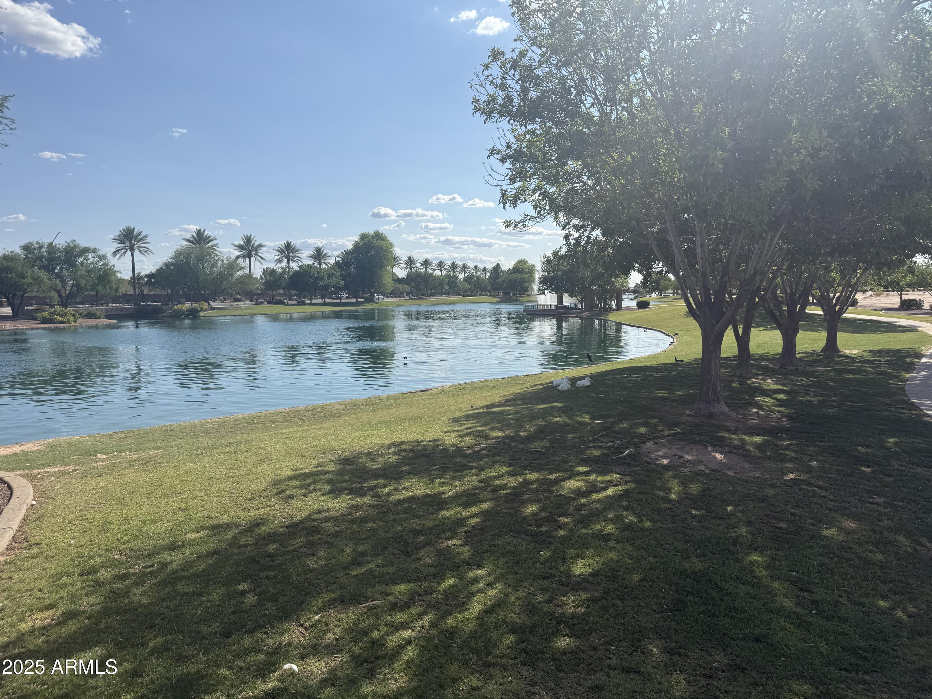 Photo #41