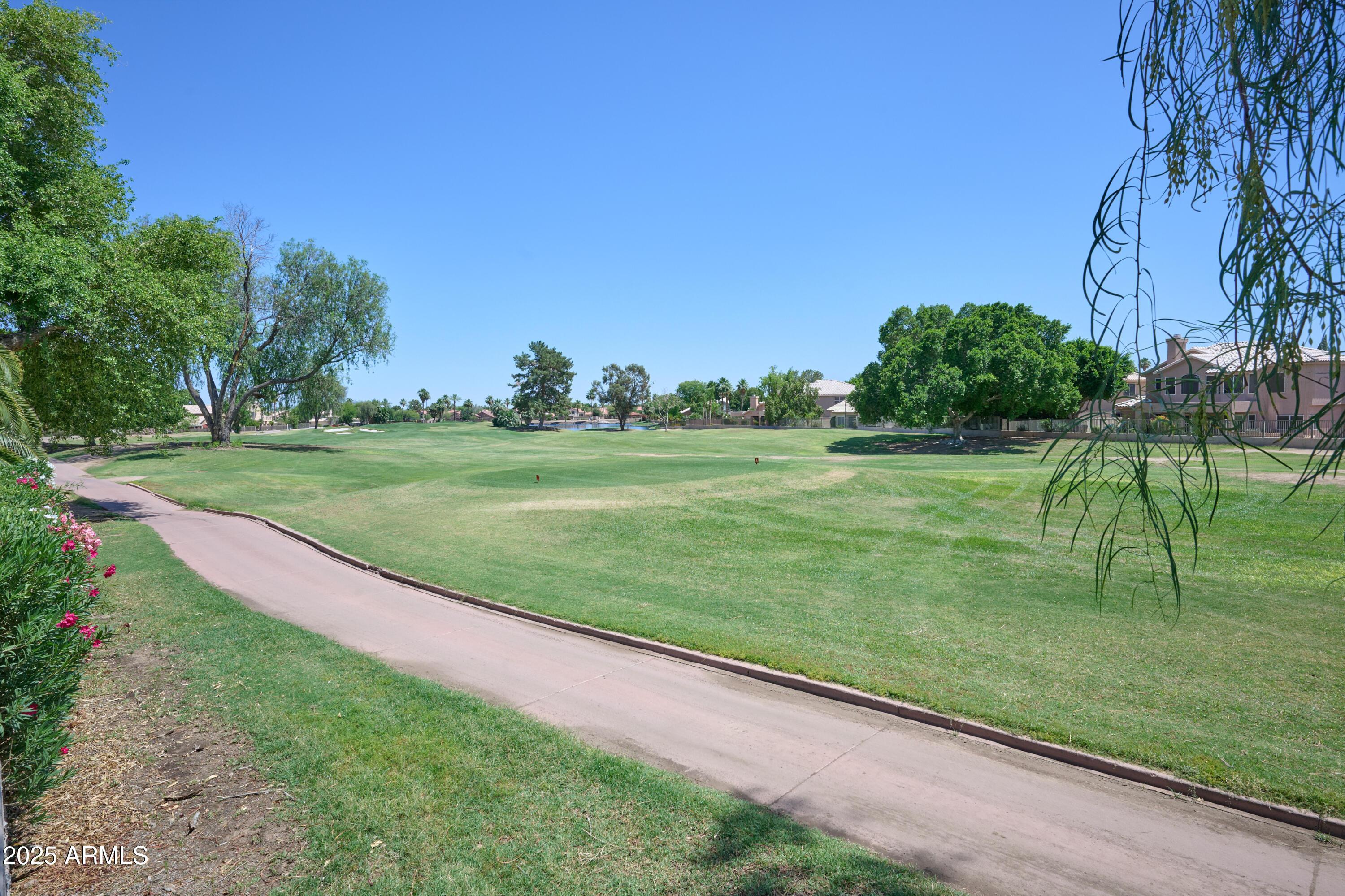 Photo #38