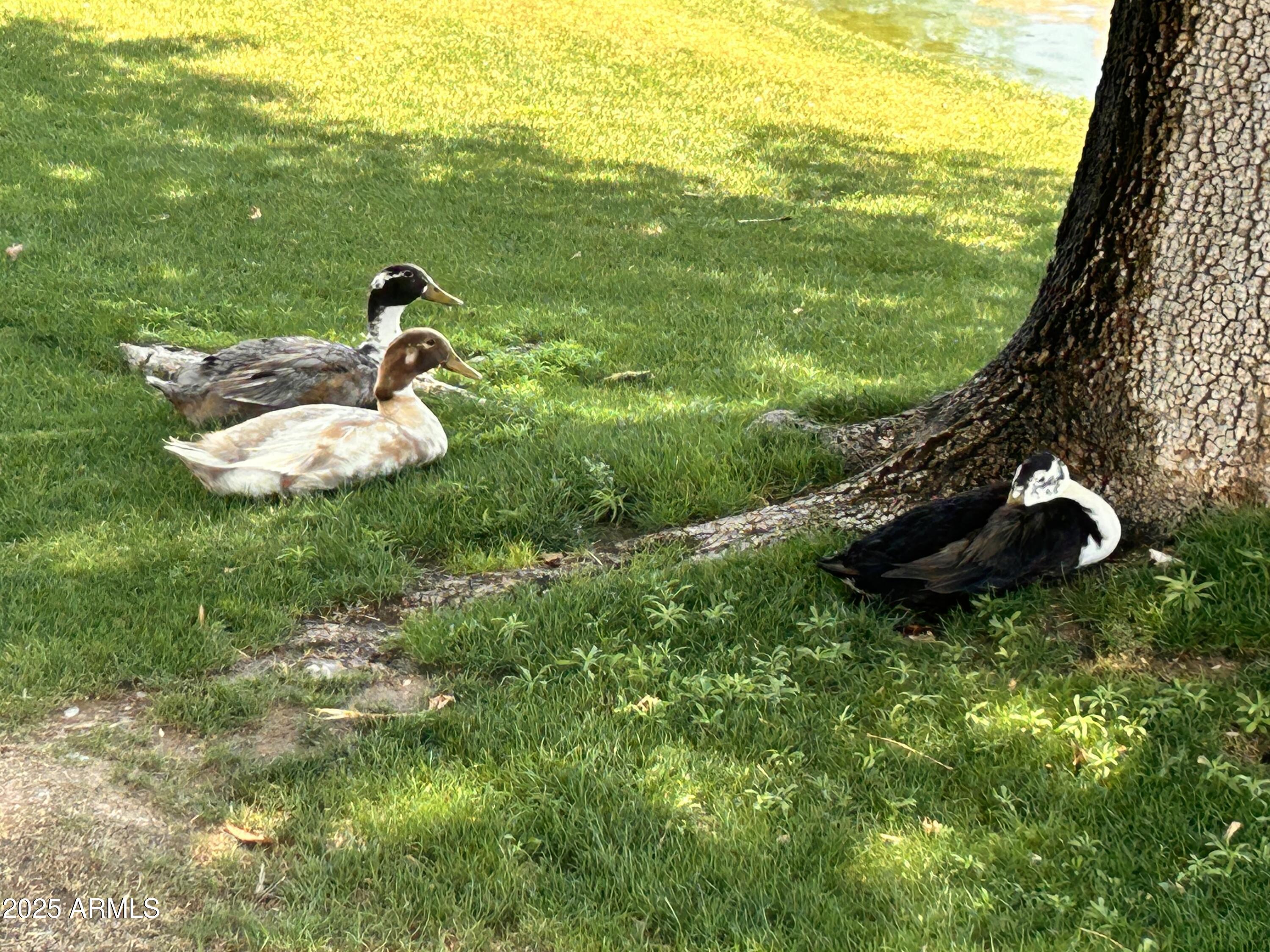 Photo #45