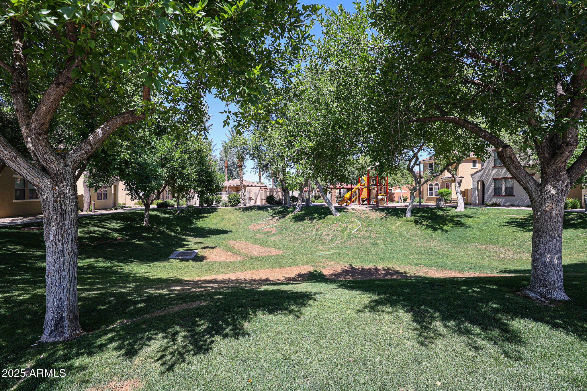 Photo #47