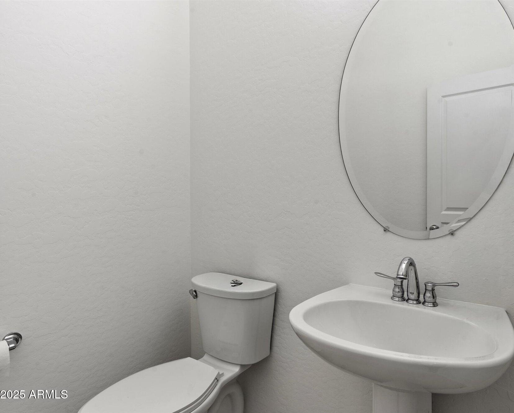Photo #24