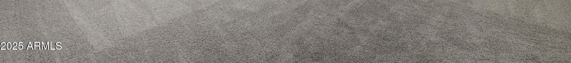 Photo #11