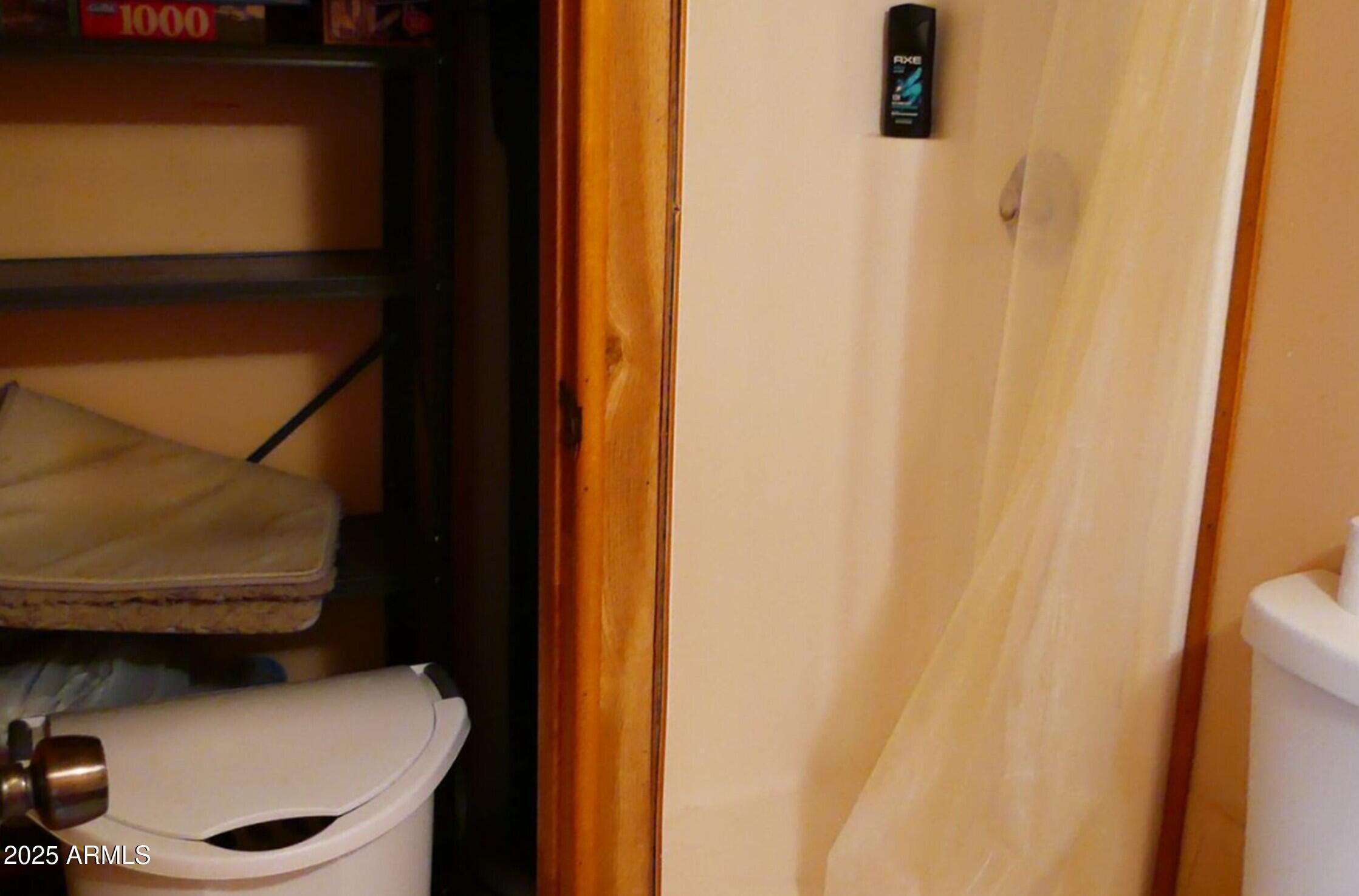Photo #11