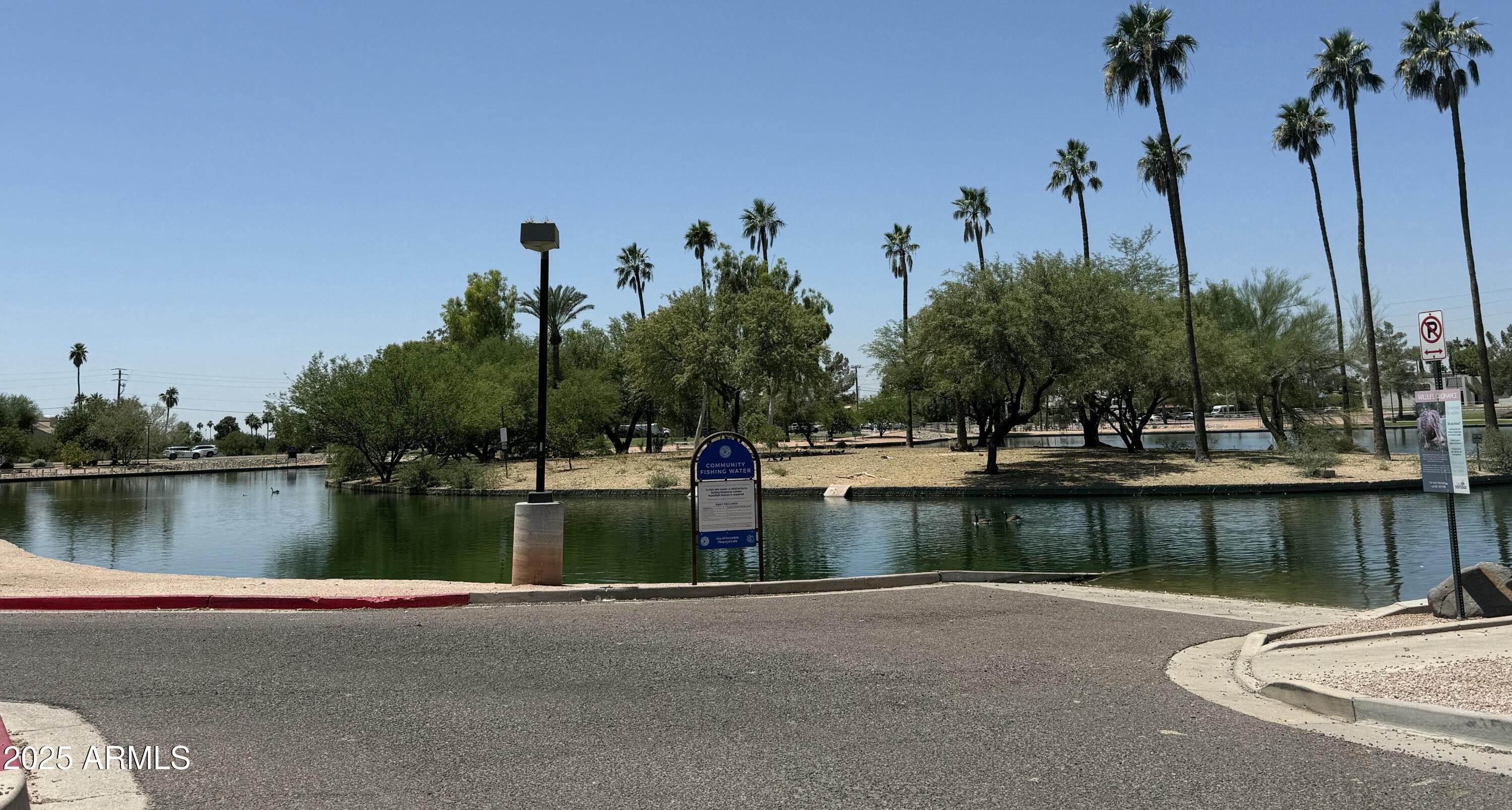 Photo #38
