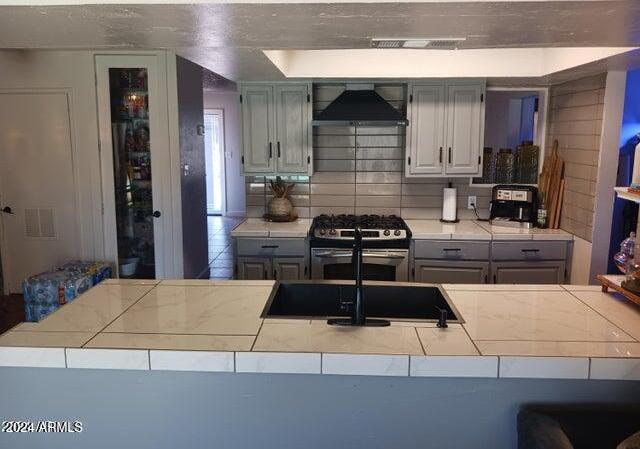 Photo #15