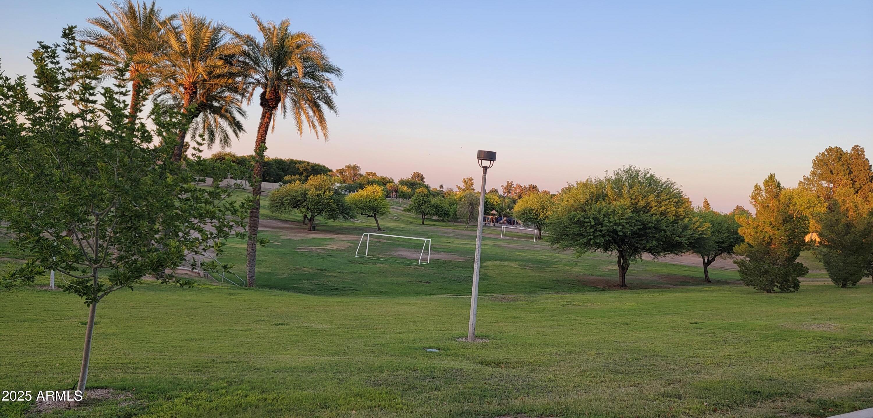 Photo #41