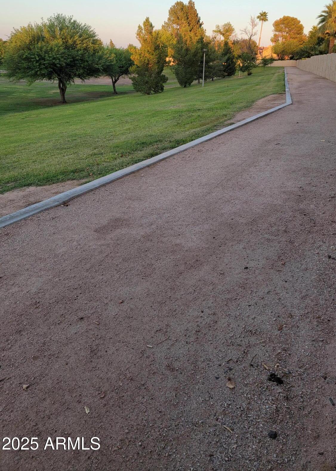 Photo #42