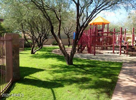 Photo #24