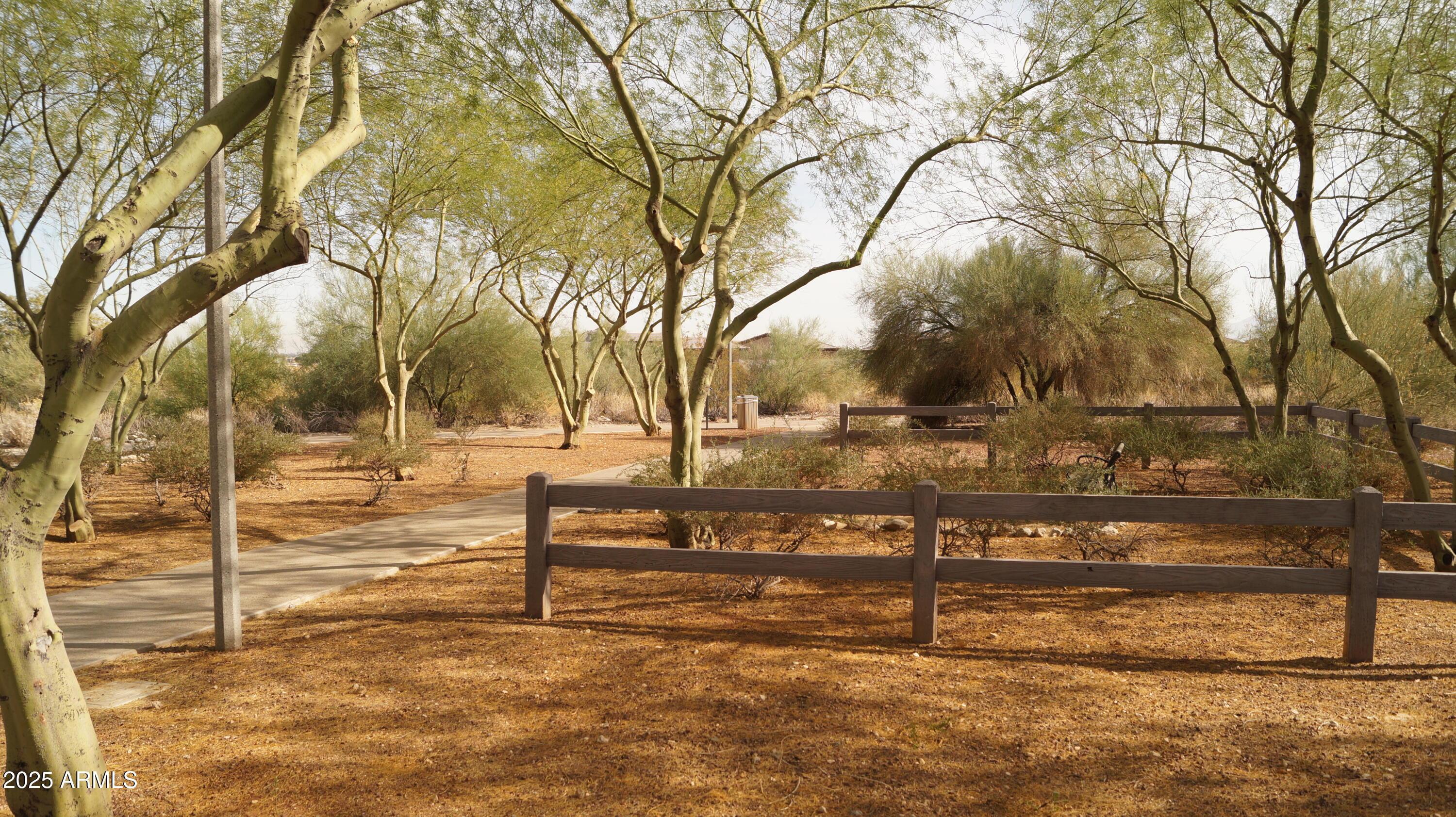 Photo #58