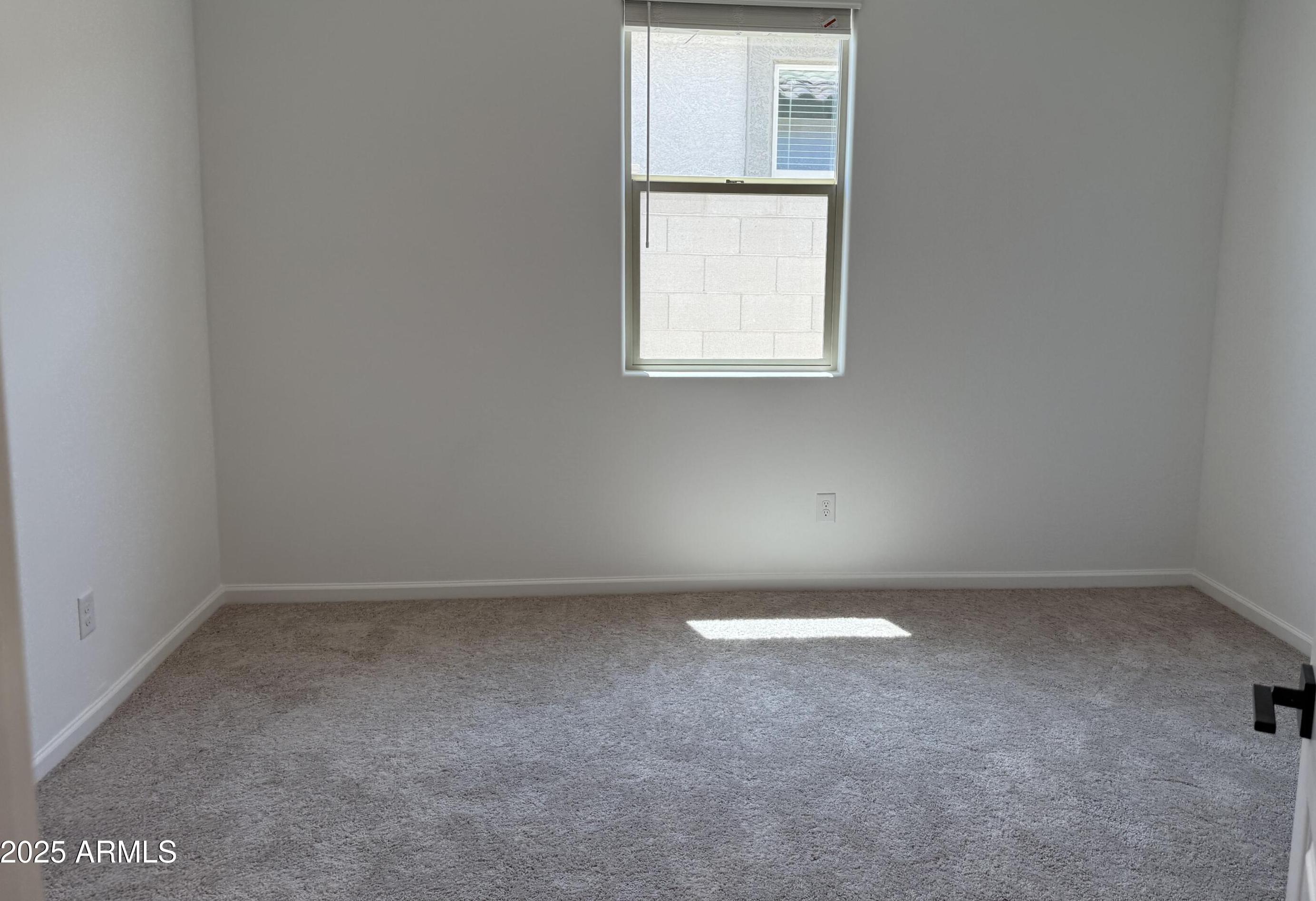 Photo #7