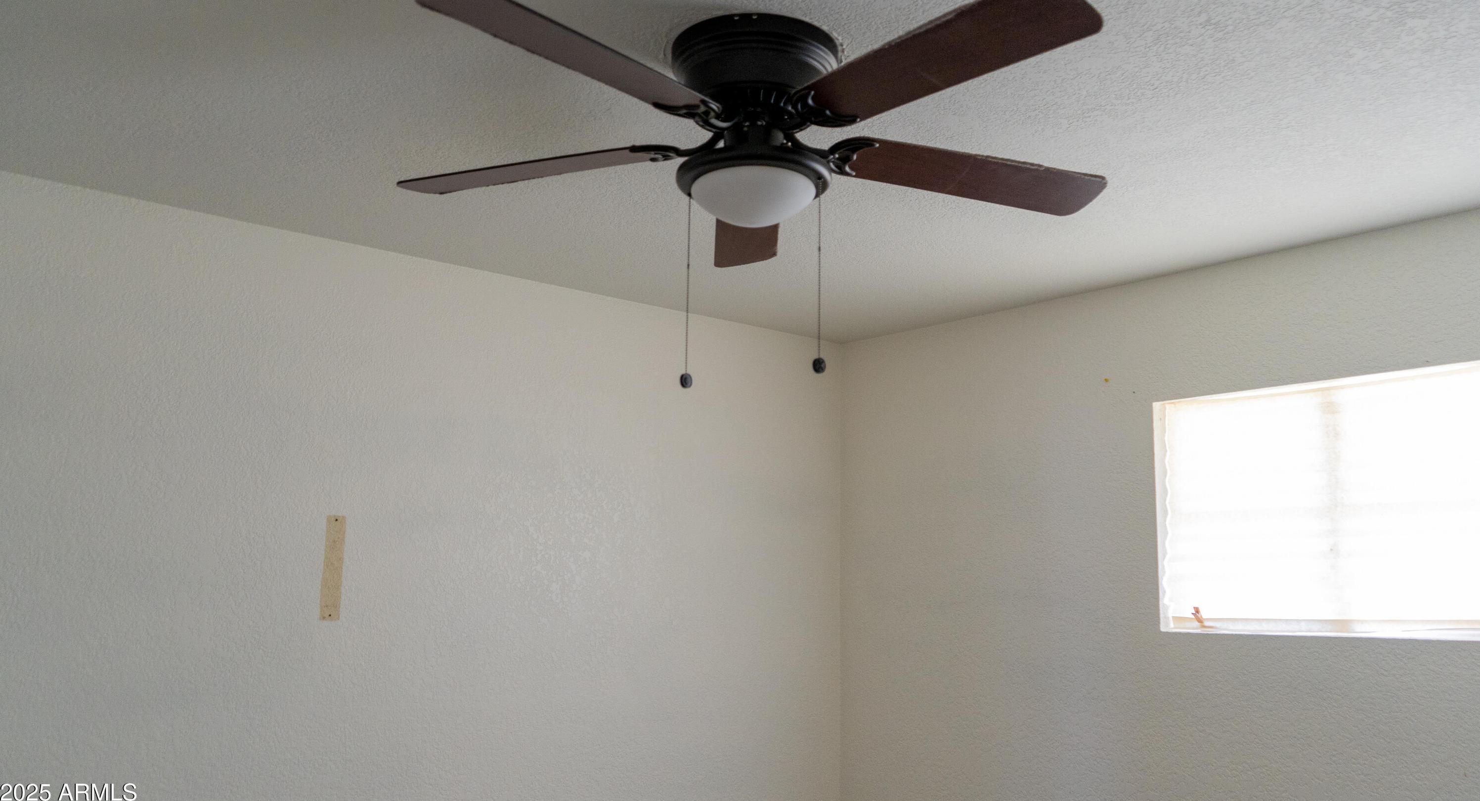 Photo #25