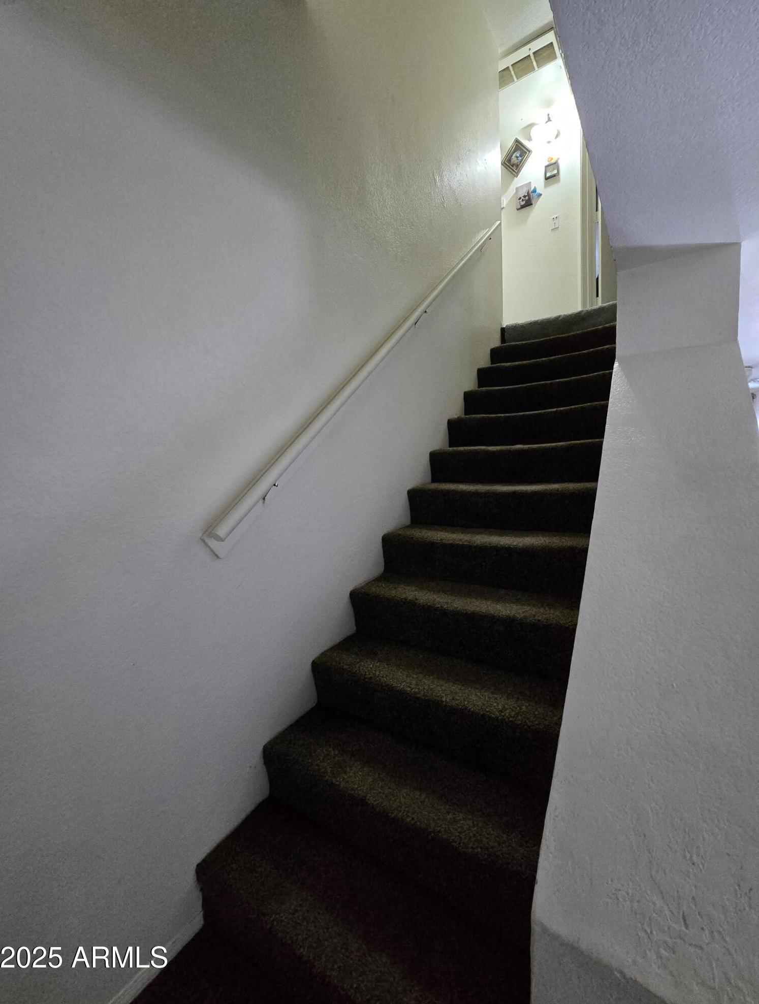 Photo #12