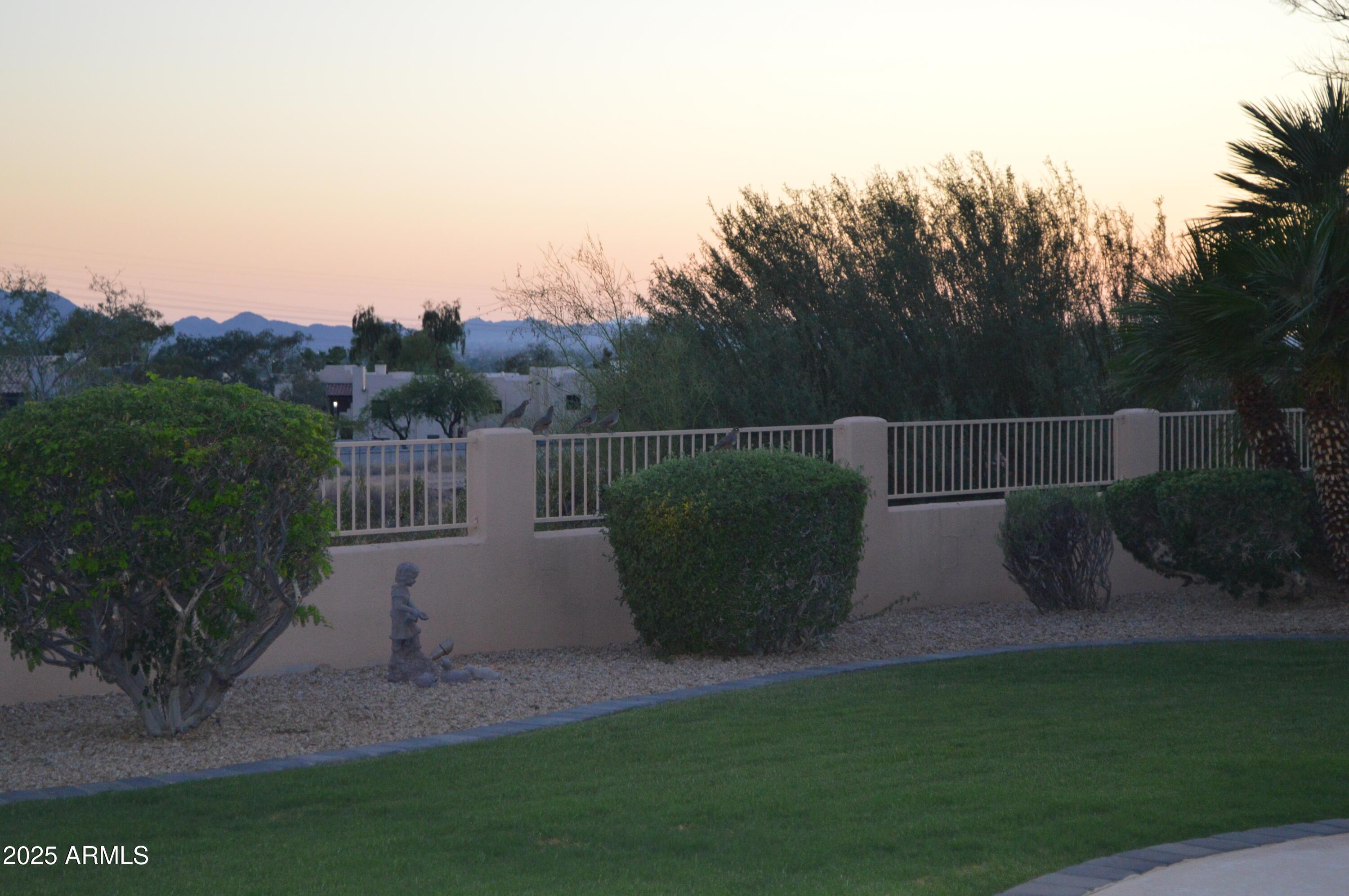 Photo #39