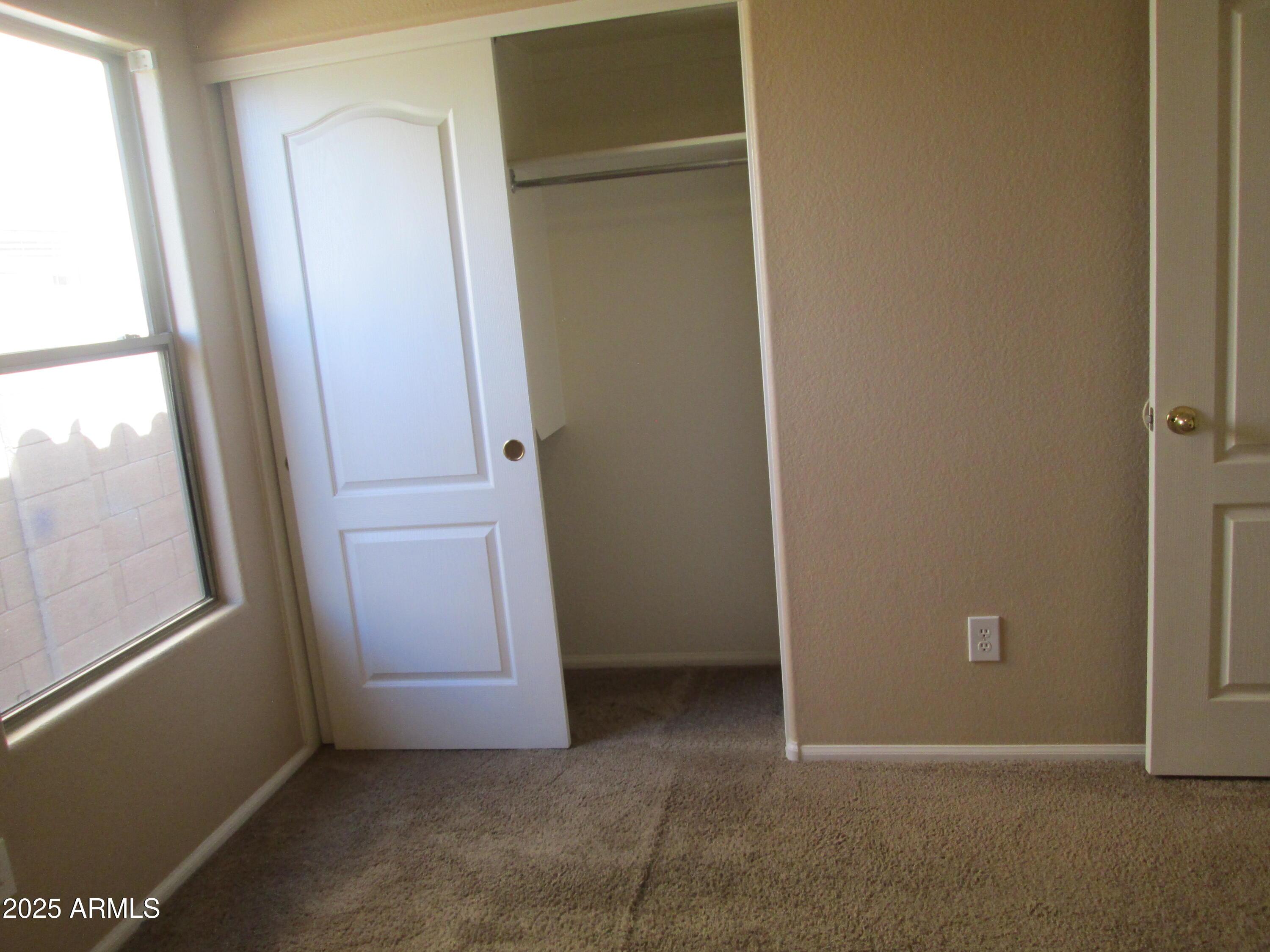 Photo #15