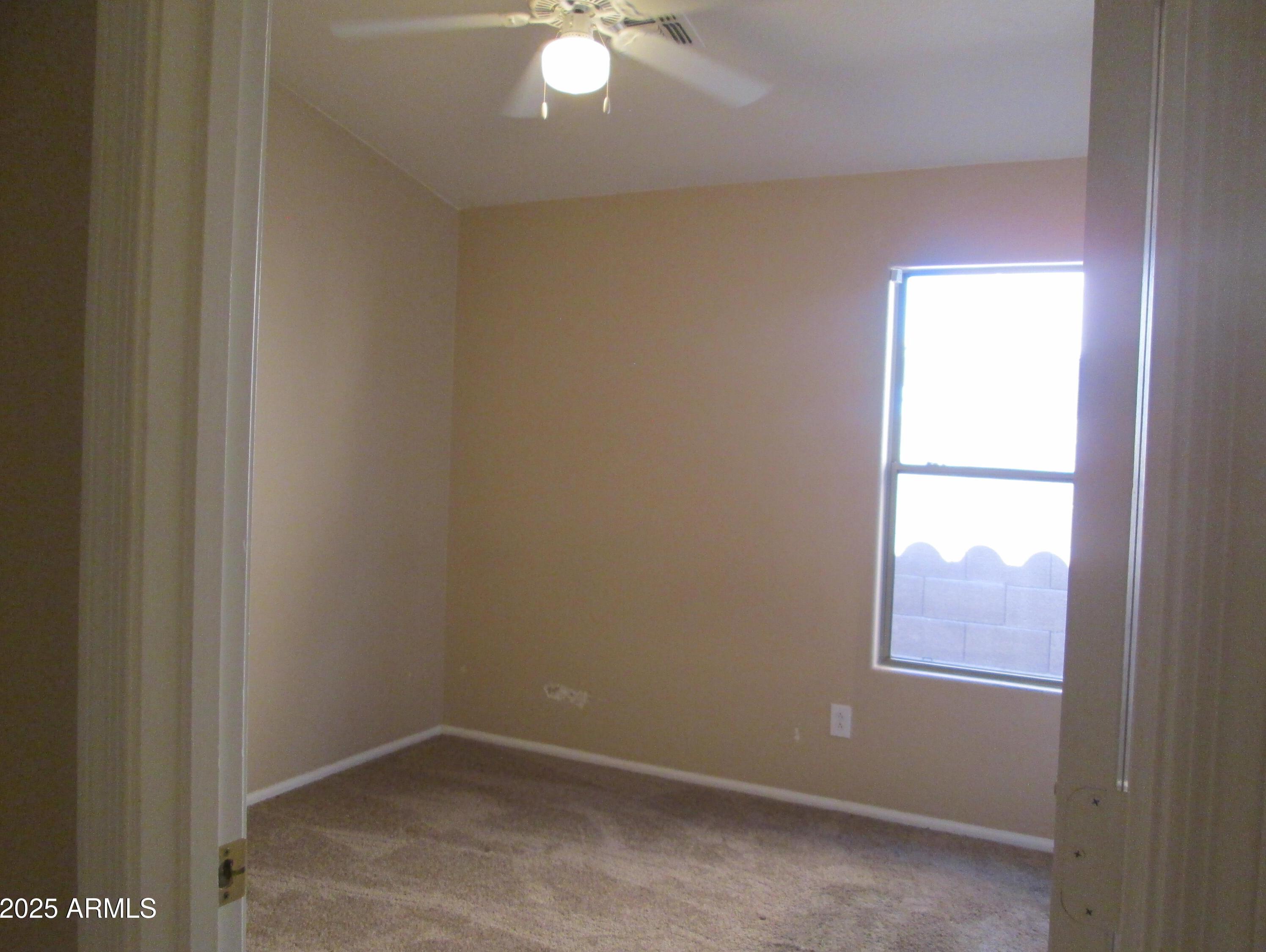 Photo #16