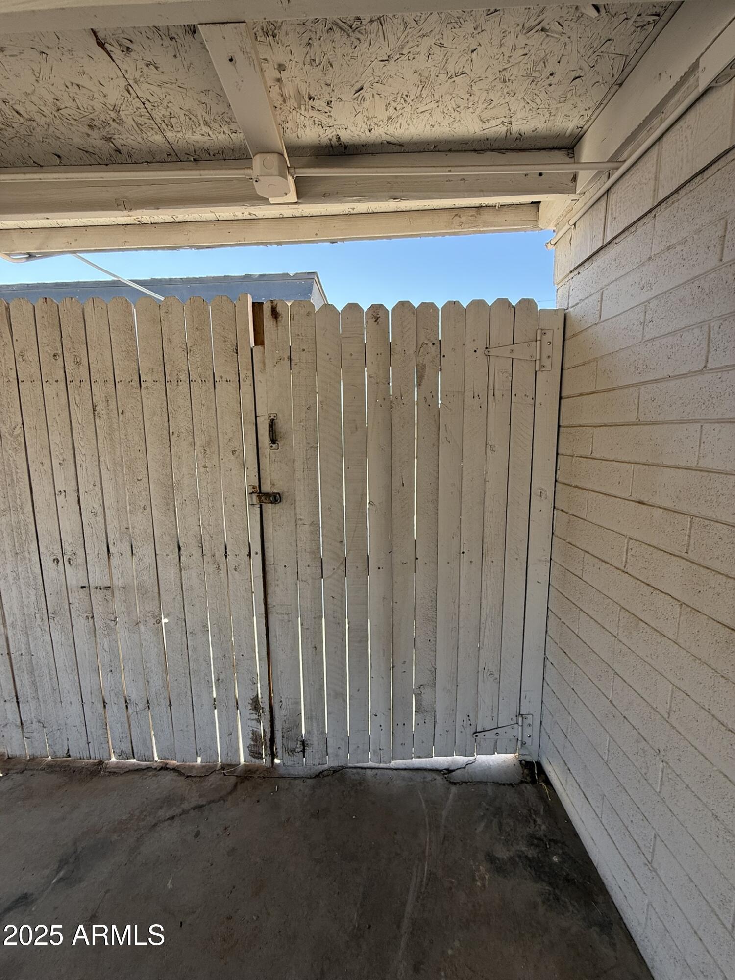 Photo #36
