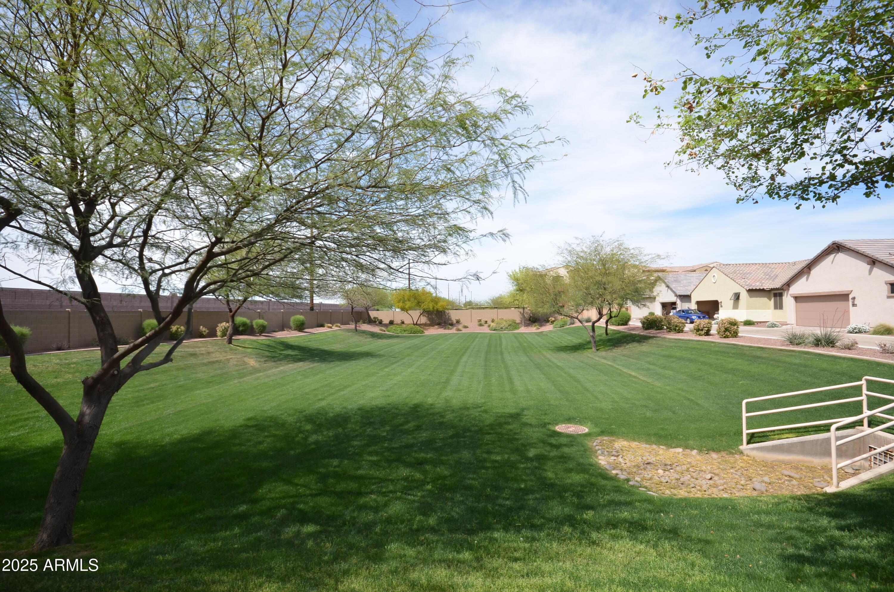 Photo #47