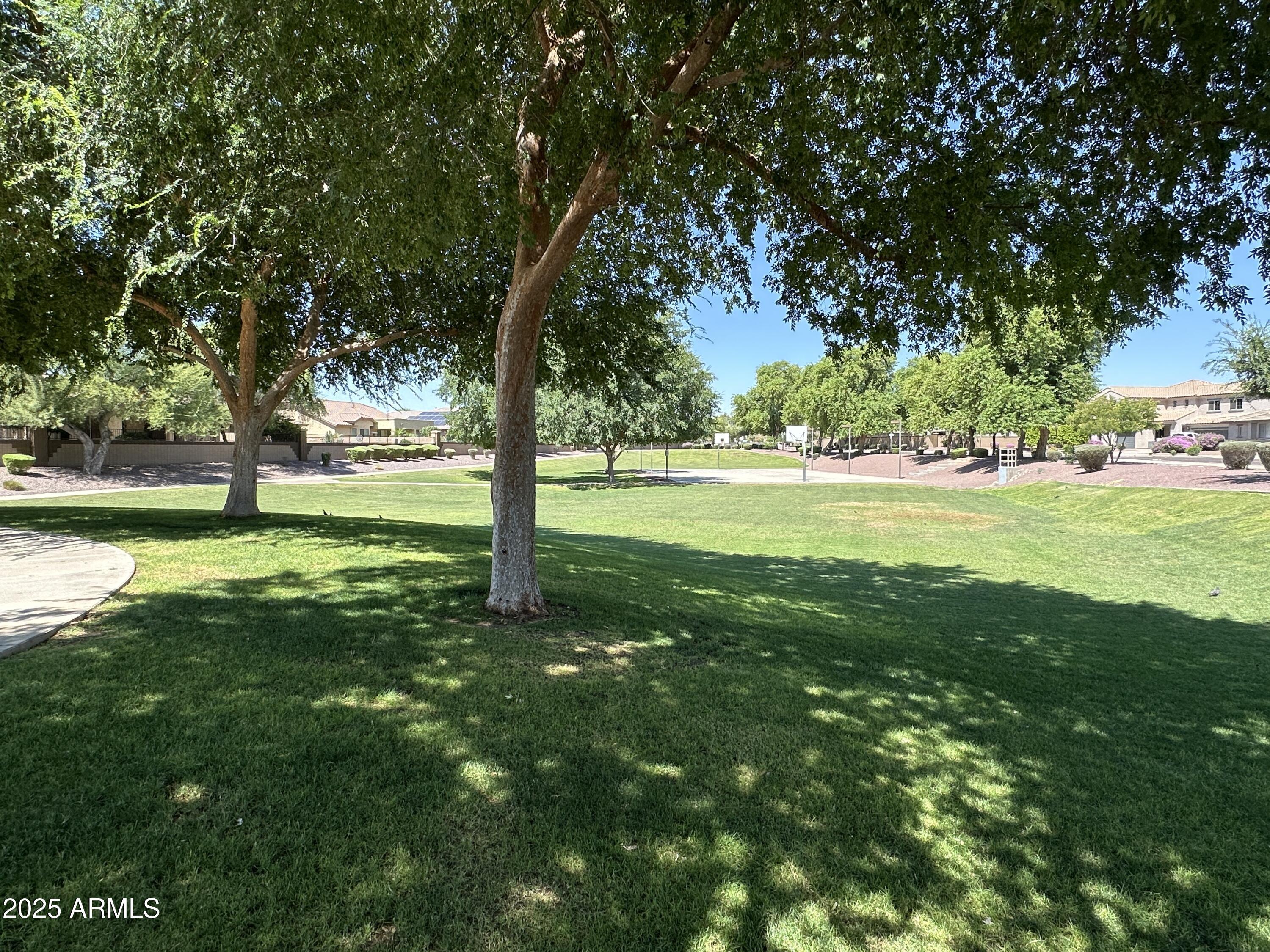 Photo #39