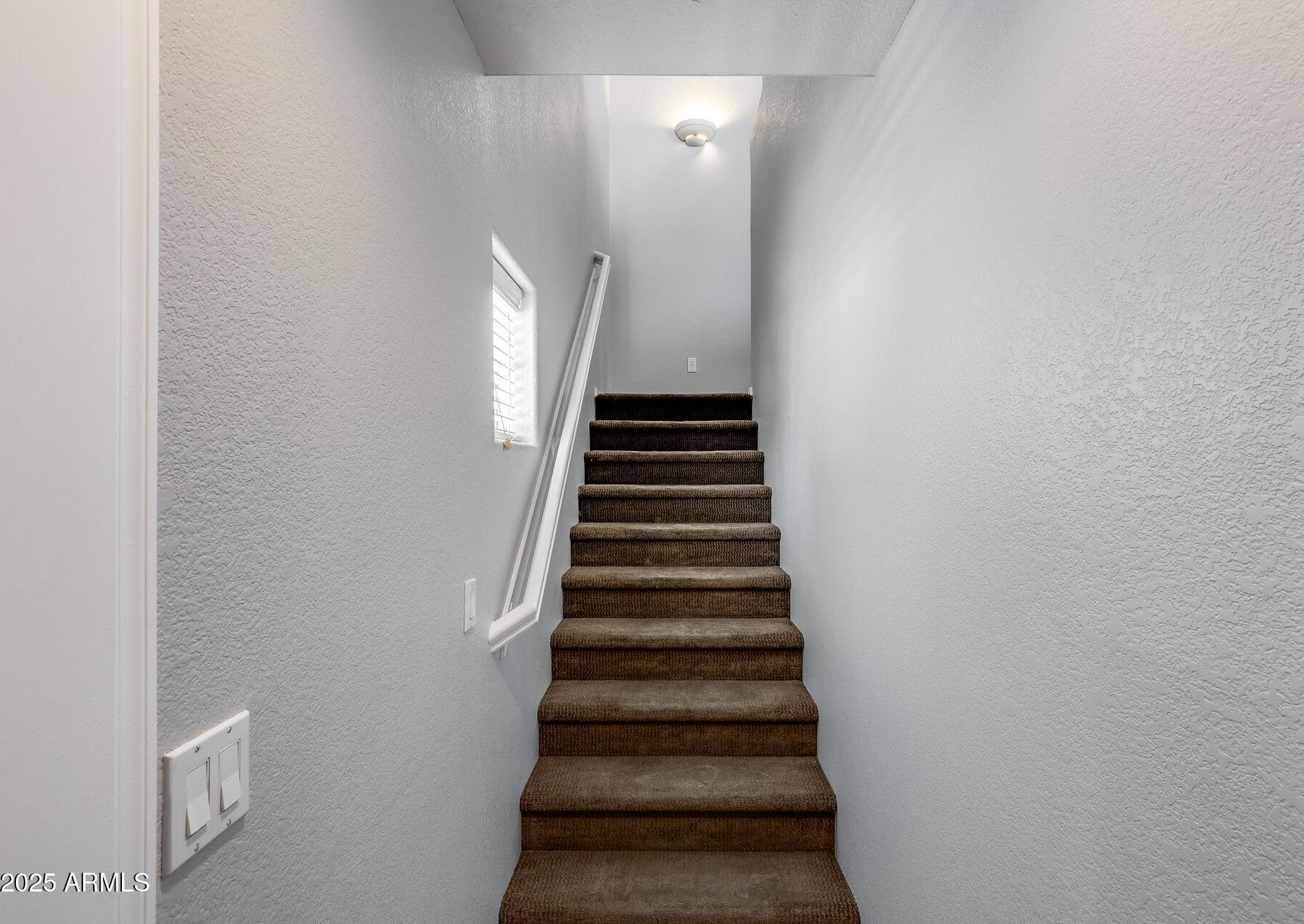Photo #12