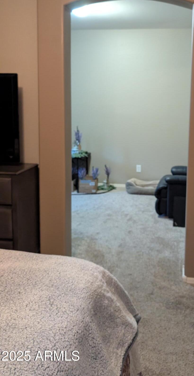 Photo #23