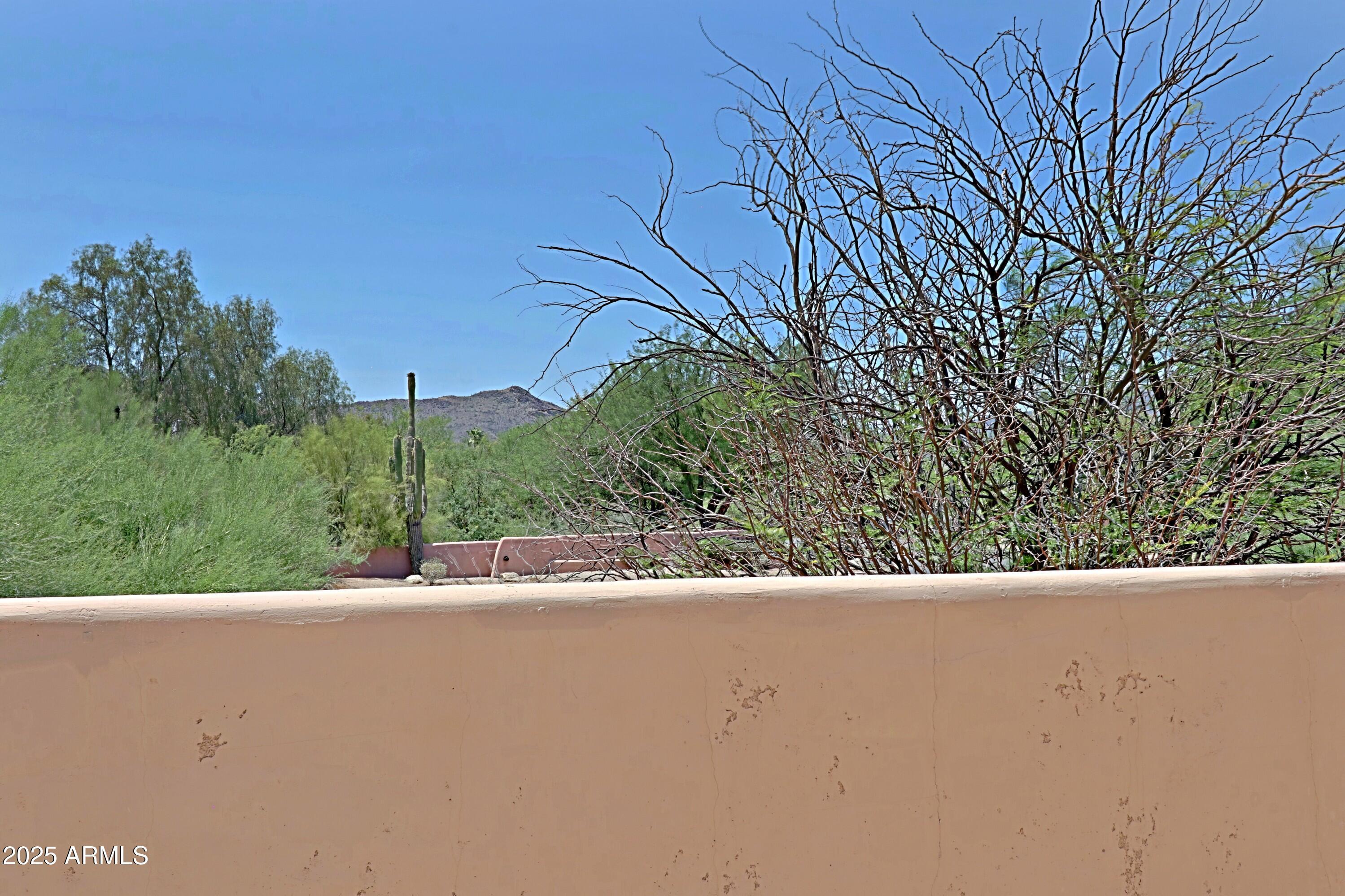 Photo #45