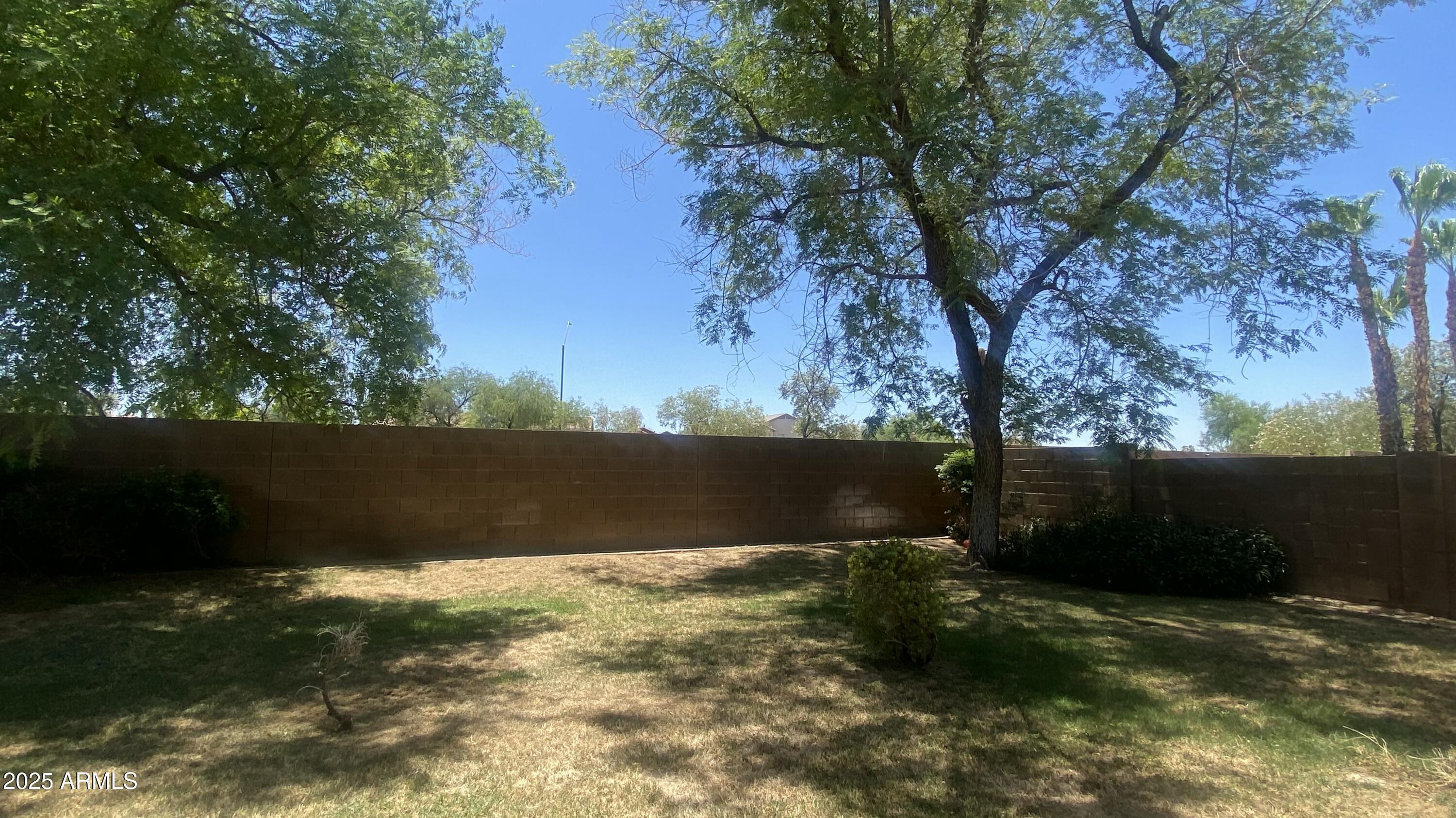 Photo #20