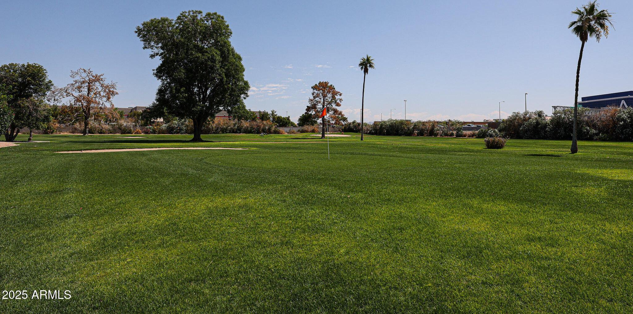 Photo #21
