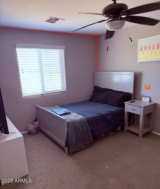 Photo #19