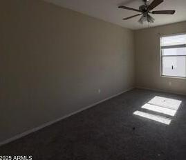 Photo #12