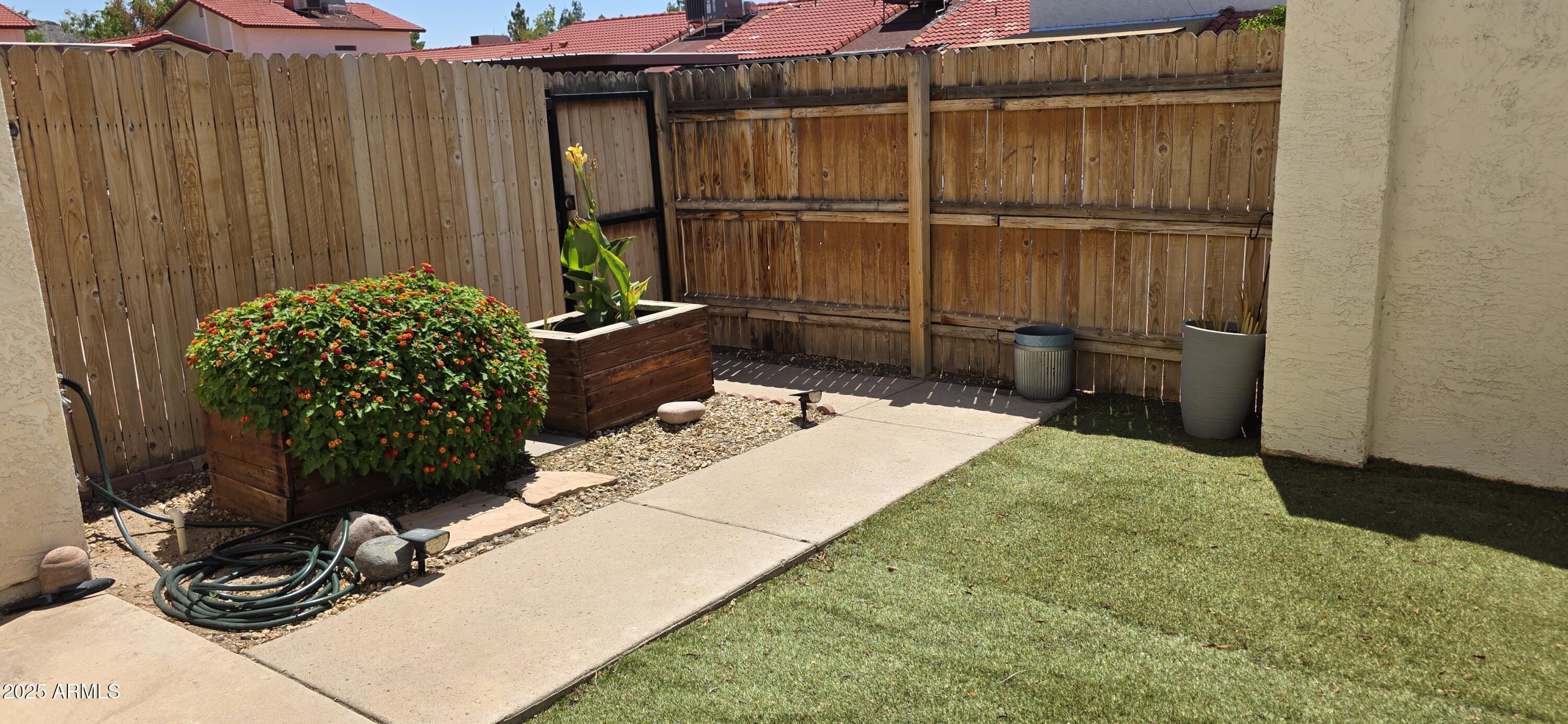 Photo #42
