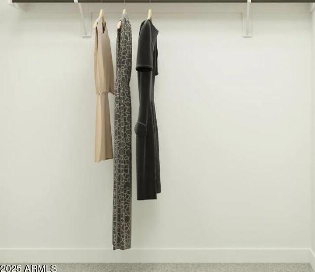 Photo #19