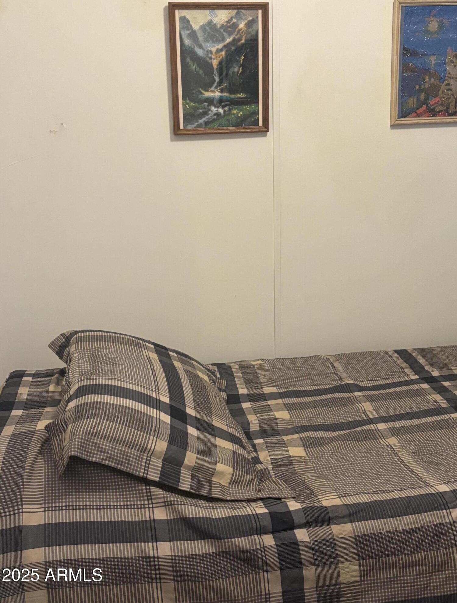 Photo #12