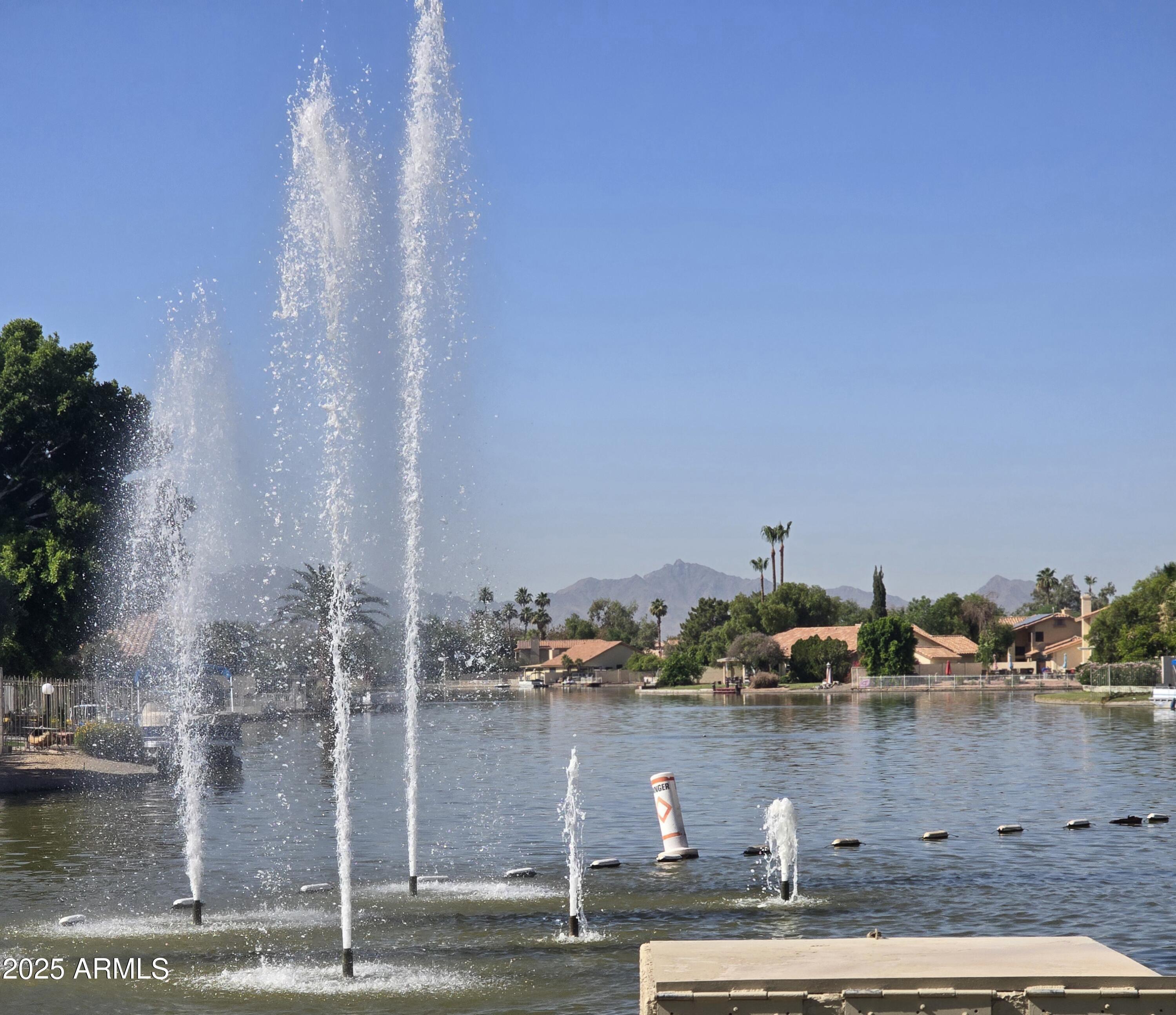 Photo #42